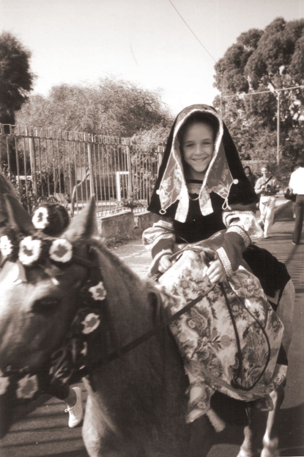 Sartigliedda estiva 1993