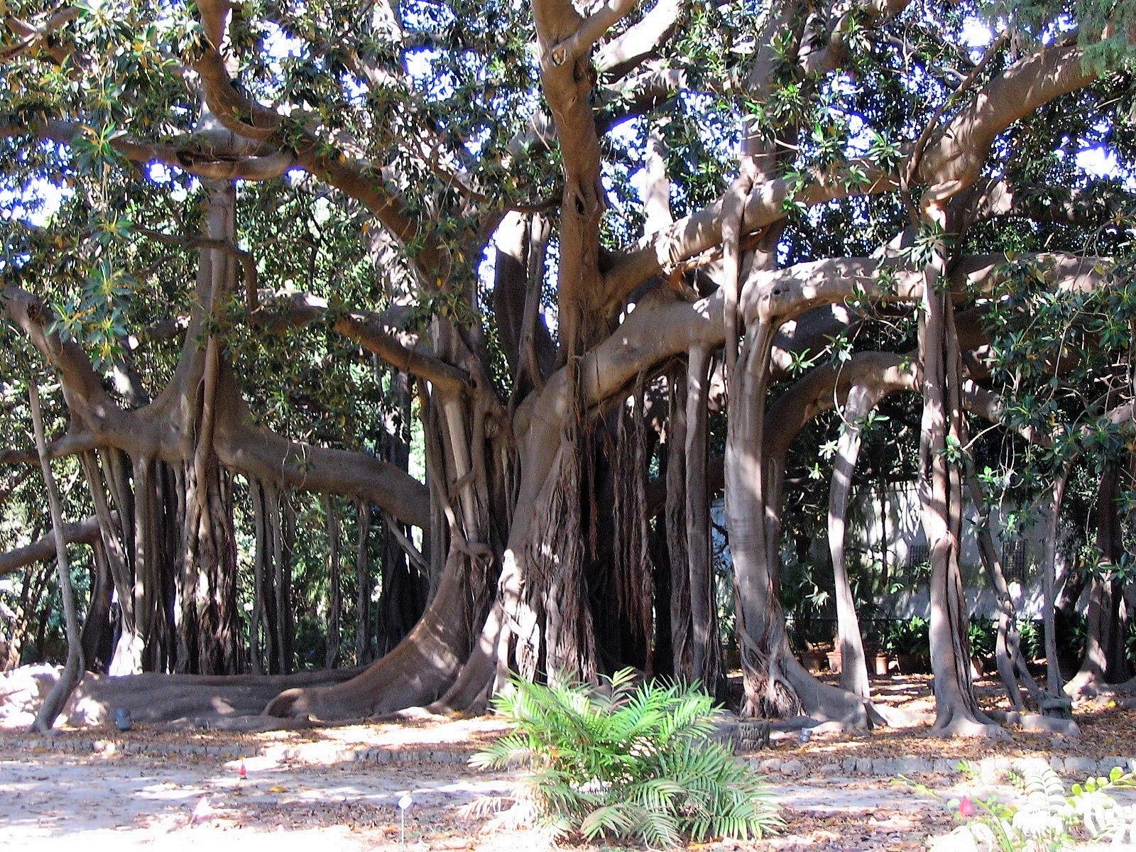 The stranger in Palermo
