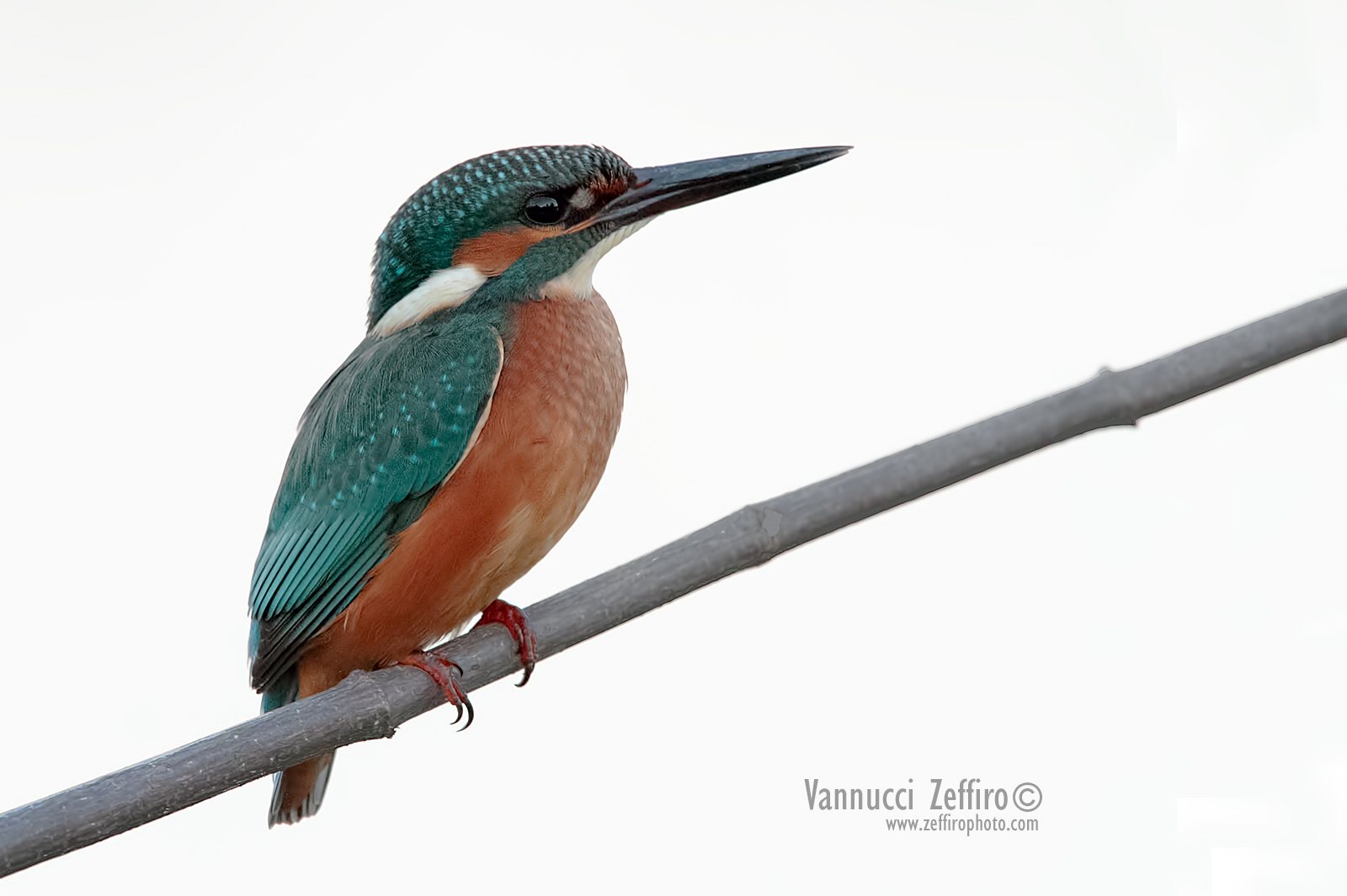 early in the morning