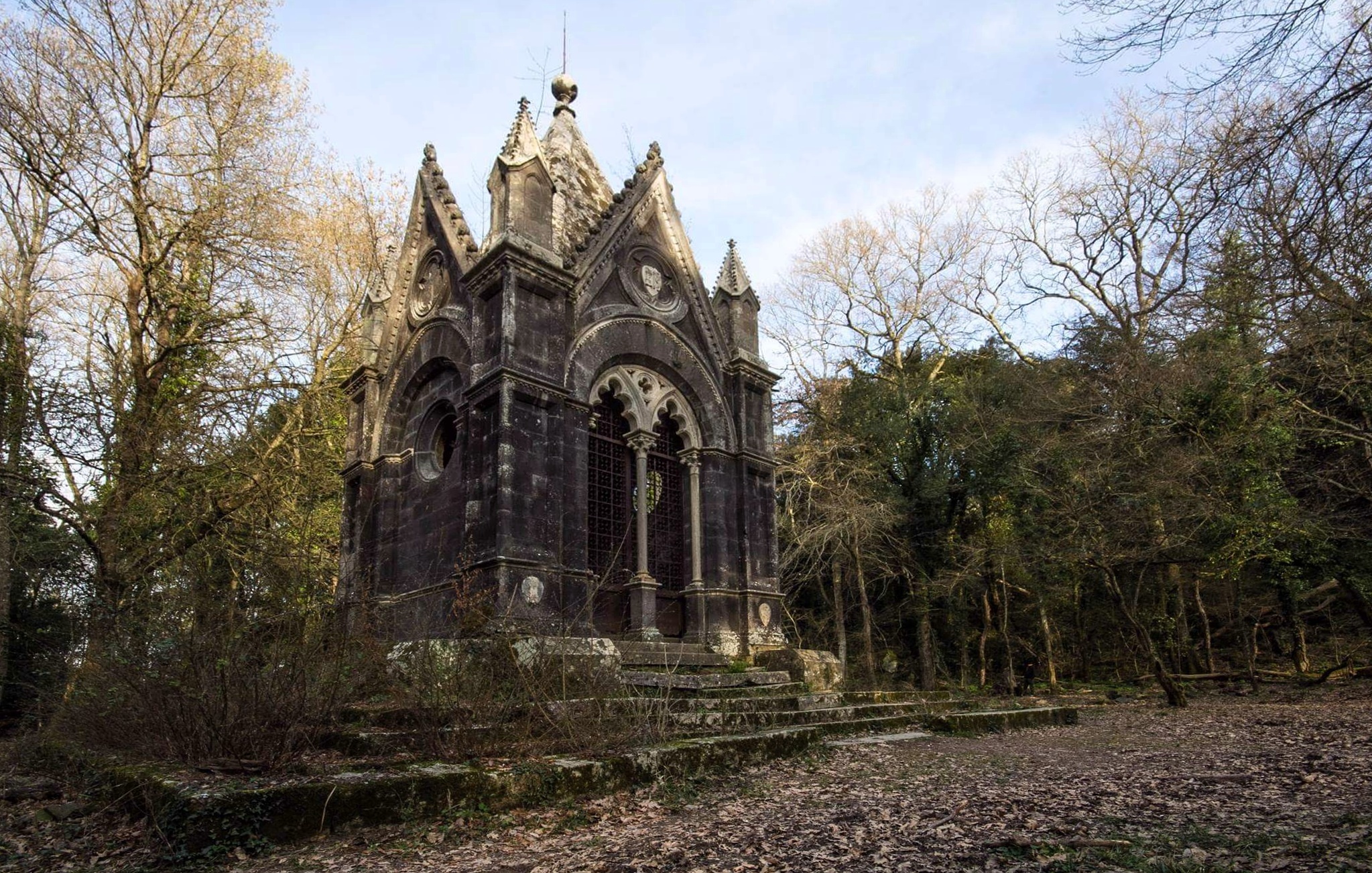 Bosco del Sasseto, Torre Alfina