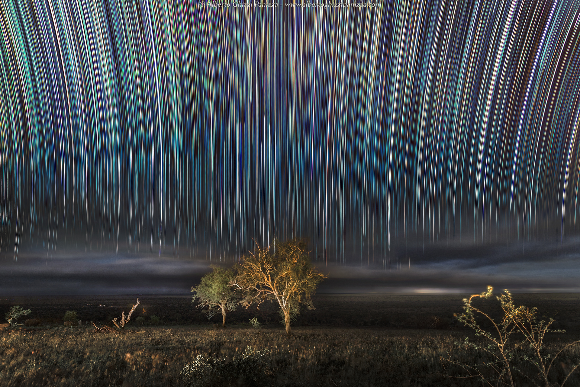 Vertical startrail in the middle of the savannah