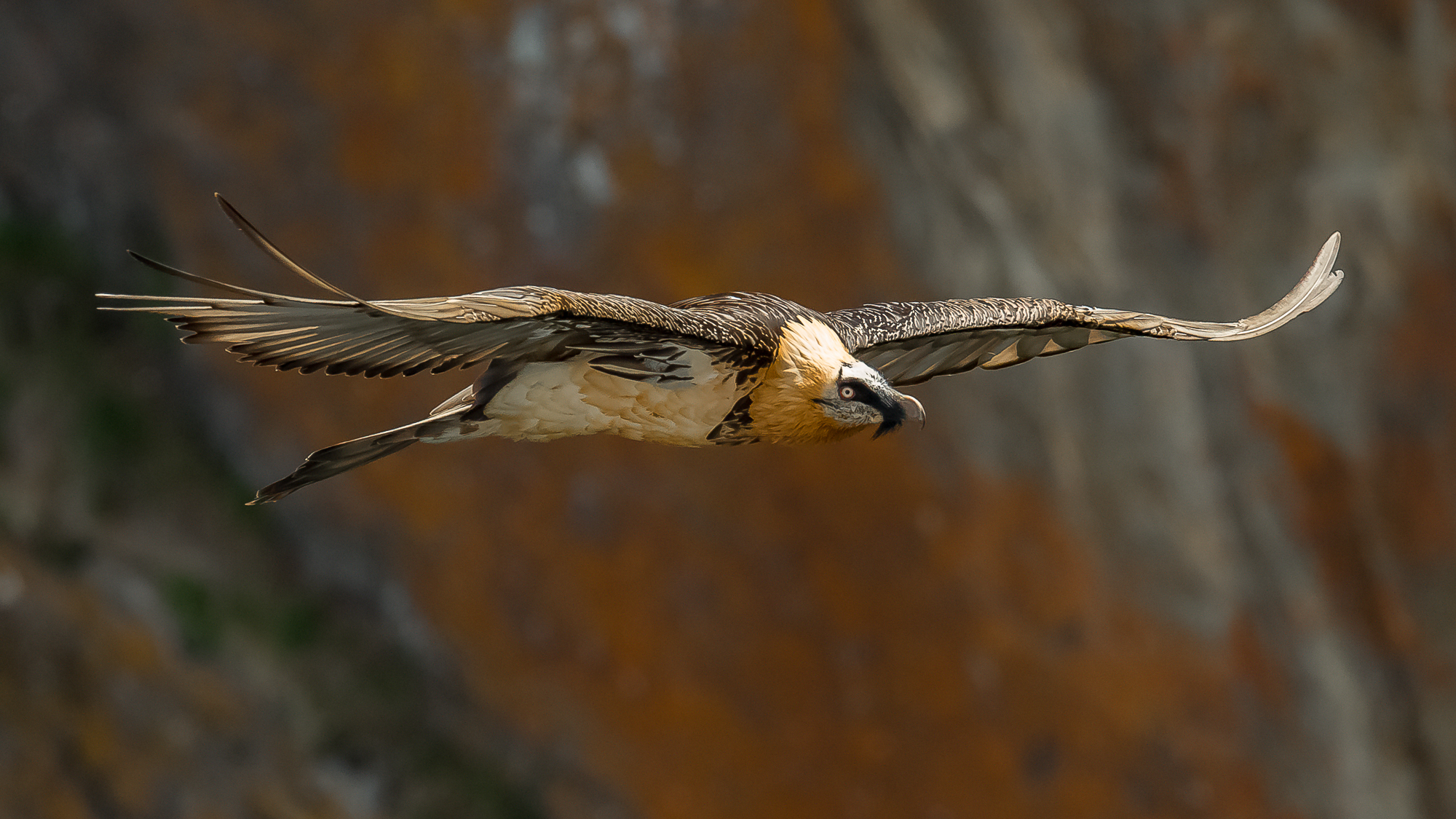 in volo nei cieli valdostani