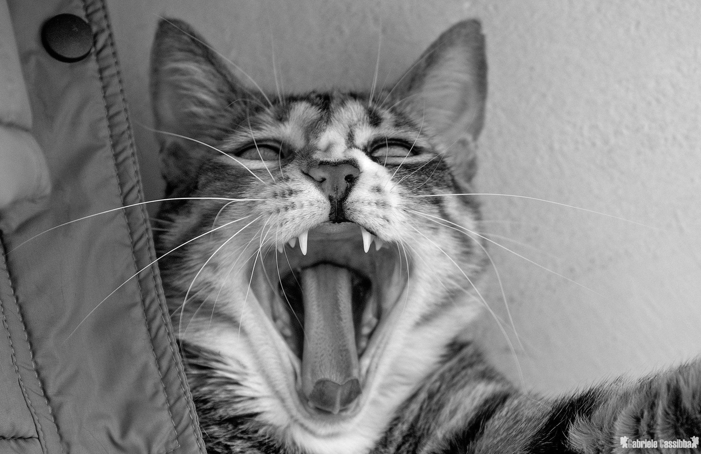 all alba dooormiroooo