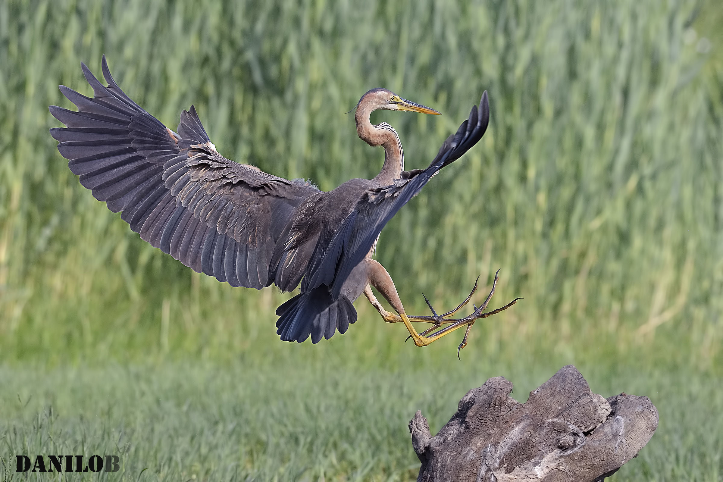 ... and even this morning ...