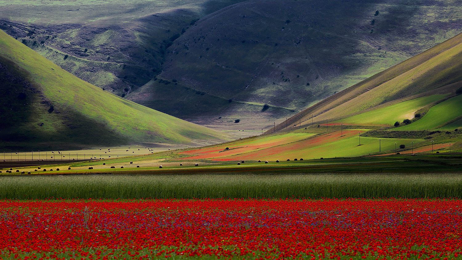 Castelluccio