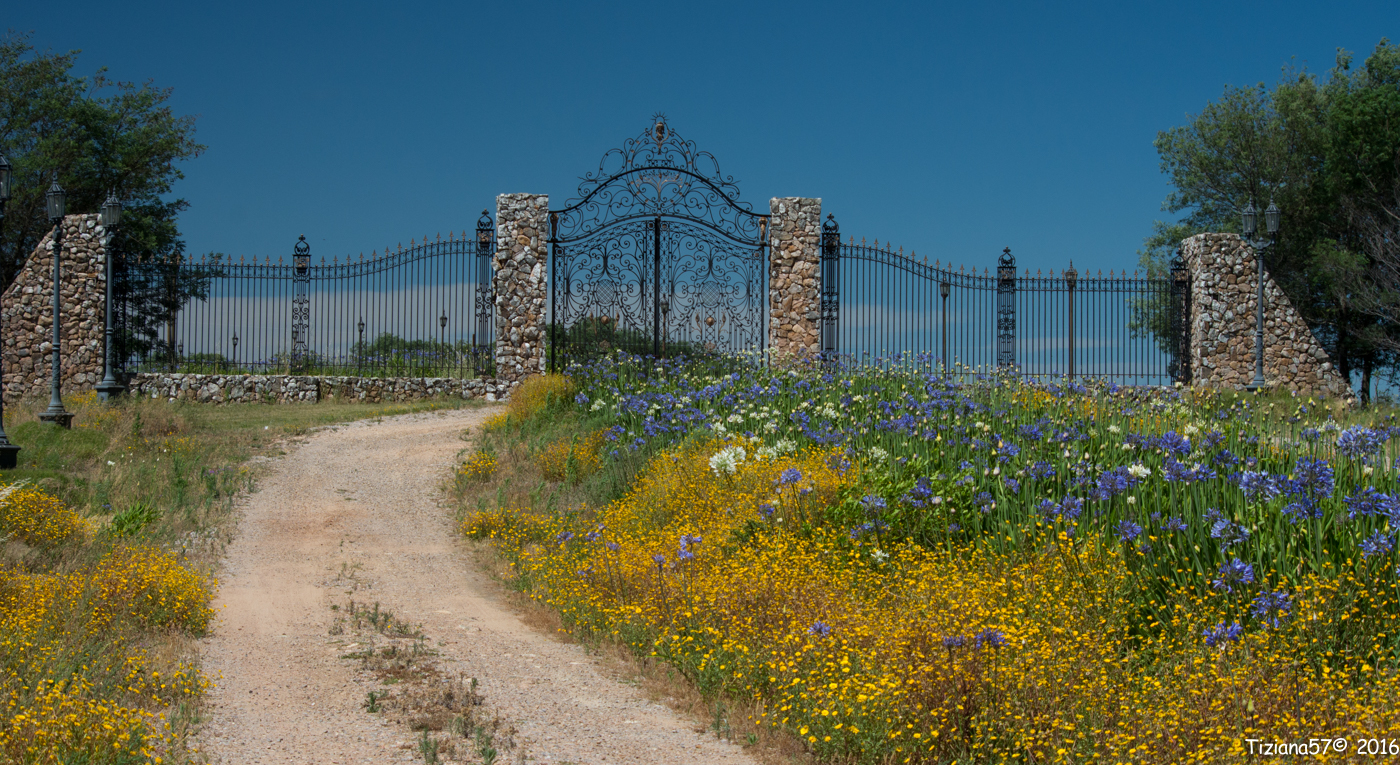 Punta del Este Sierra Las Minas