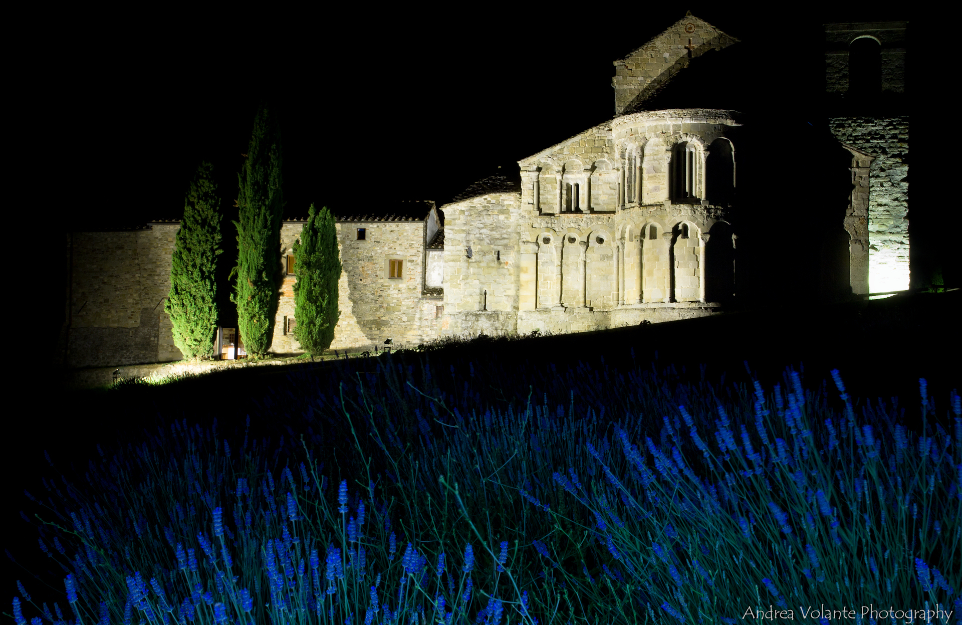 Incontri ..nella notte casentinese.