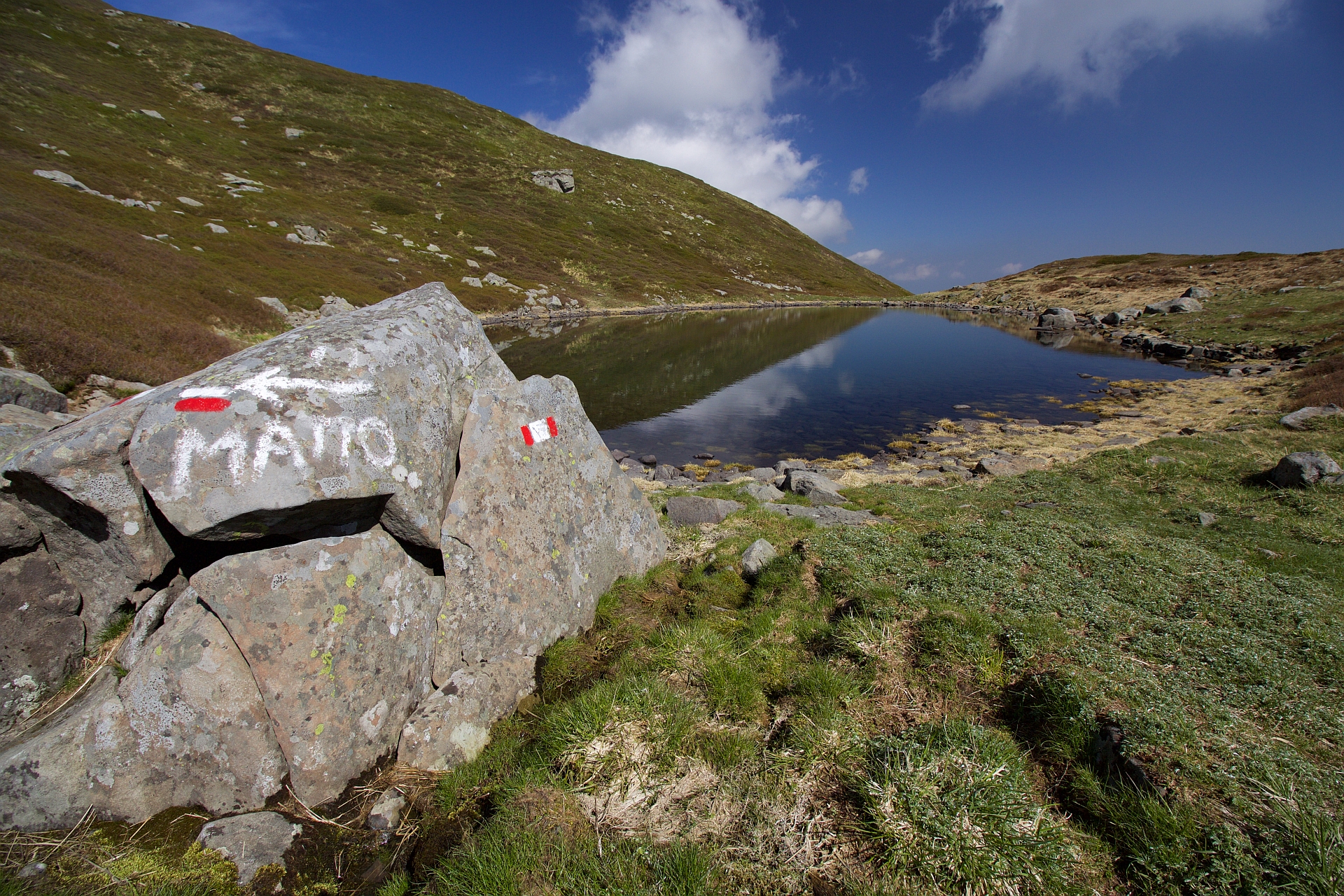 For the Crazy go of the