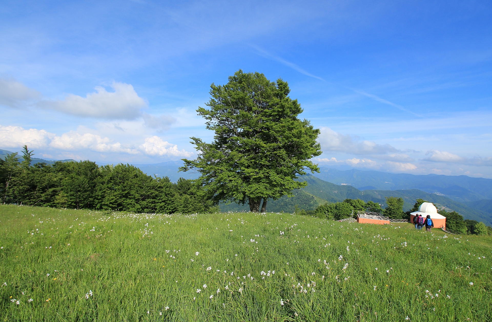 The Beech, Observatory and the hikers