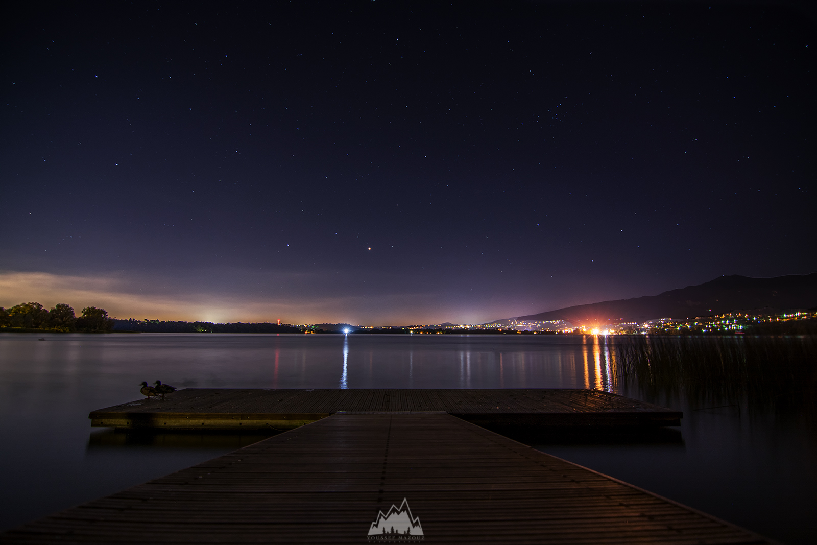 Two ducks under the stars