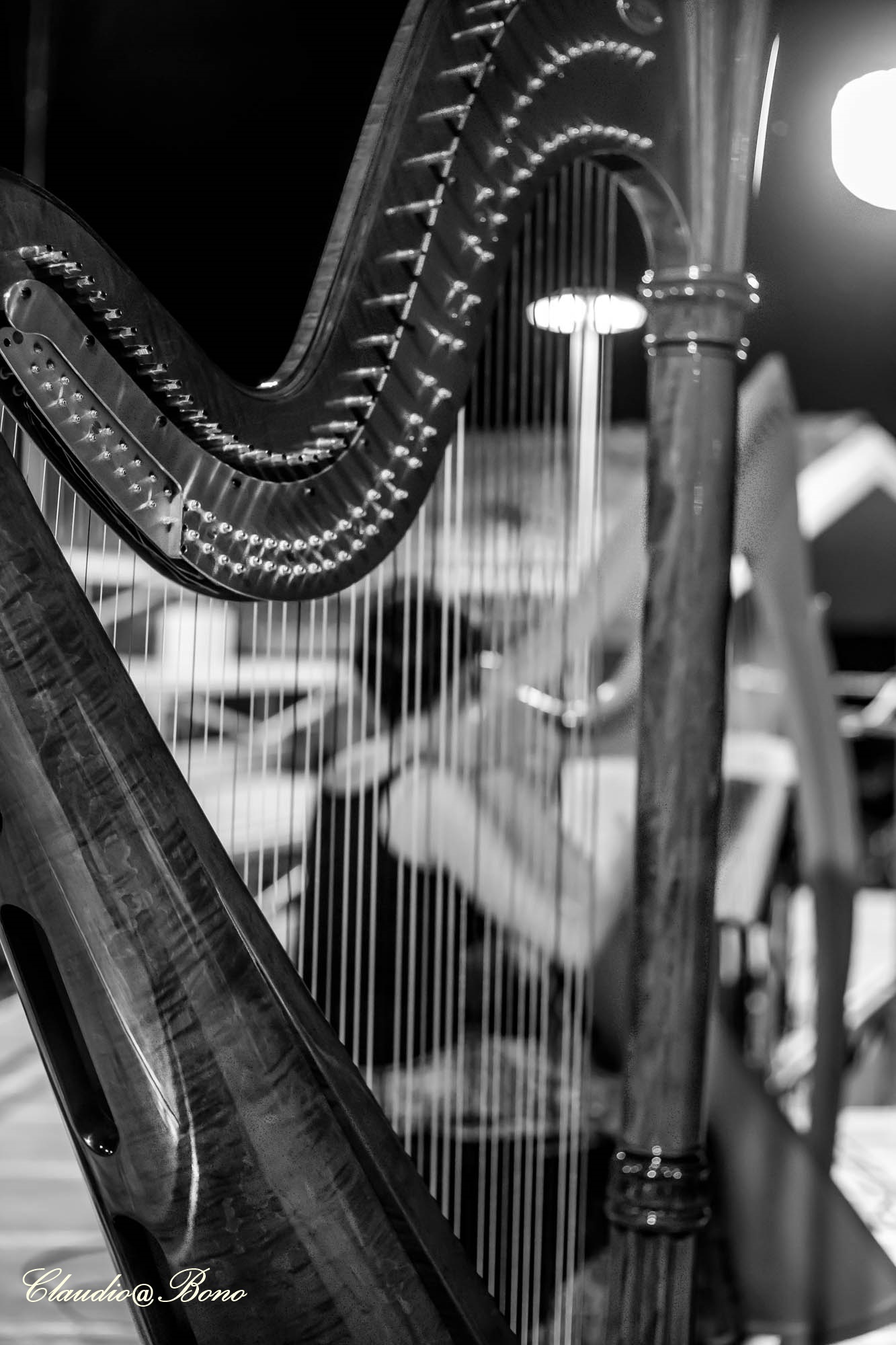 Harp concert