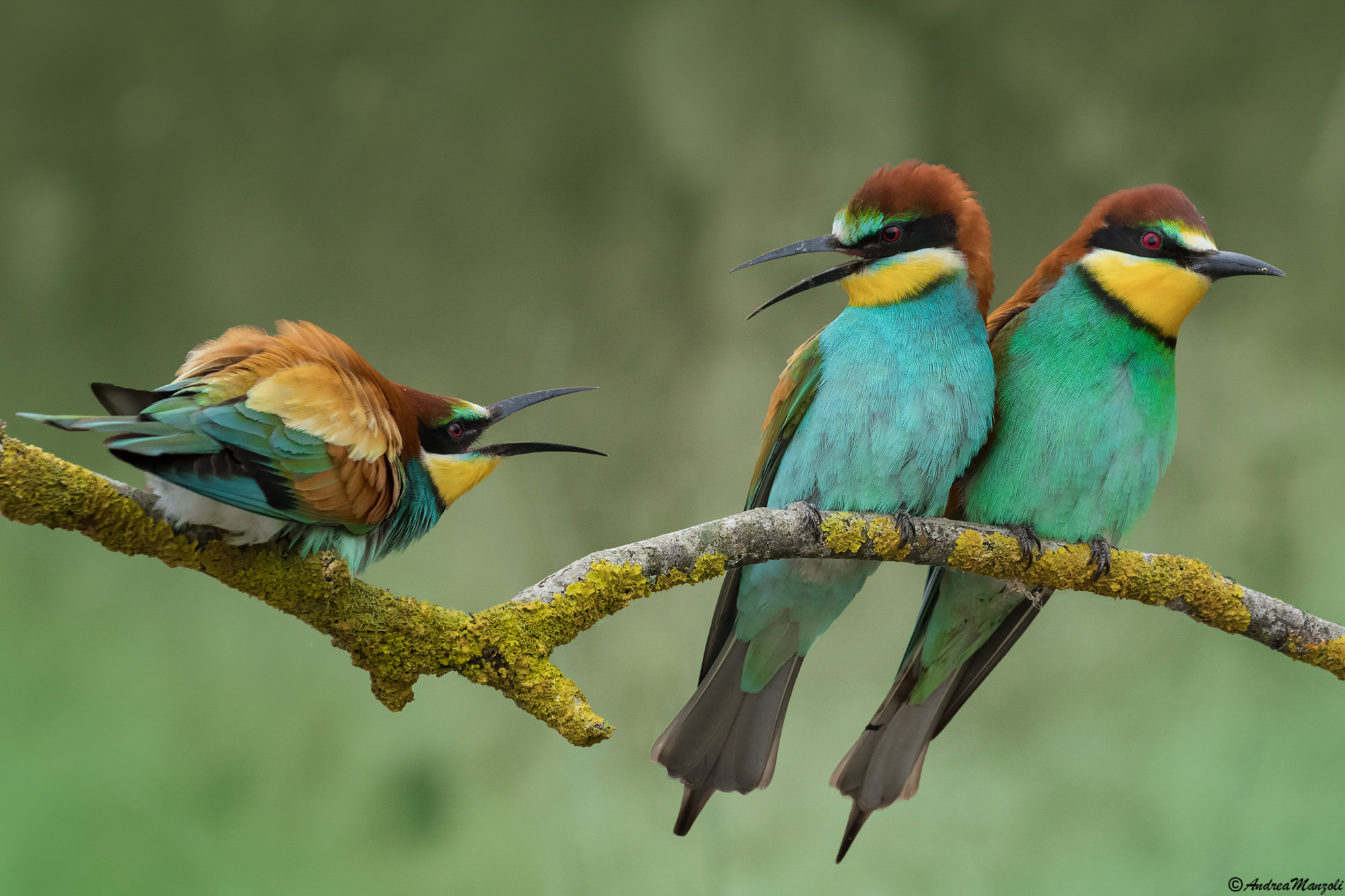 The third uncomfortable