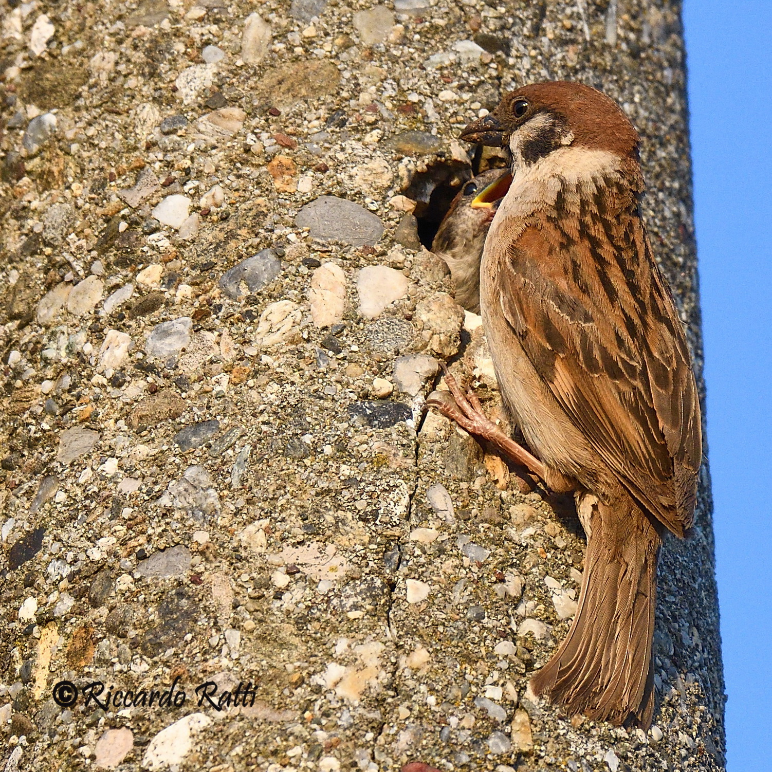Finalmente si mangia !