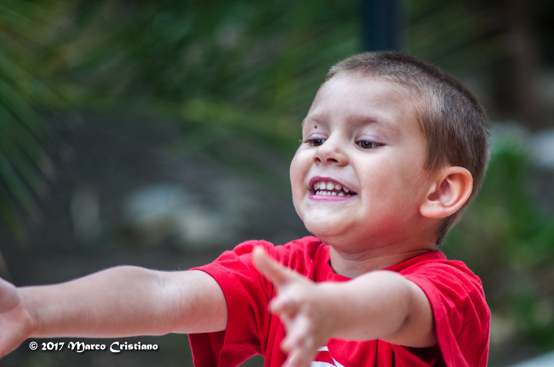 Dammi quella palla...