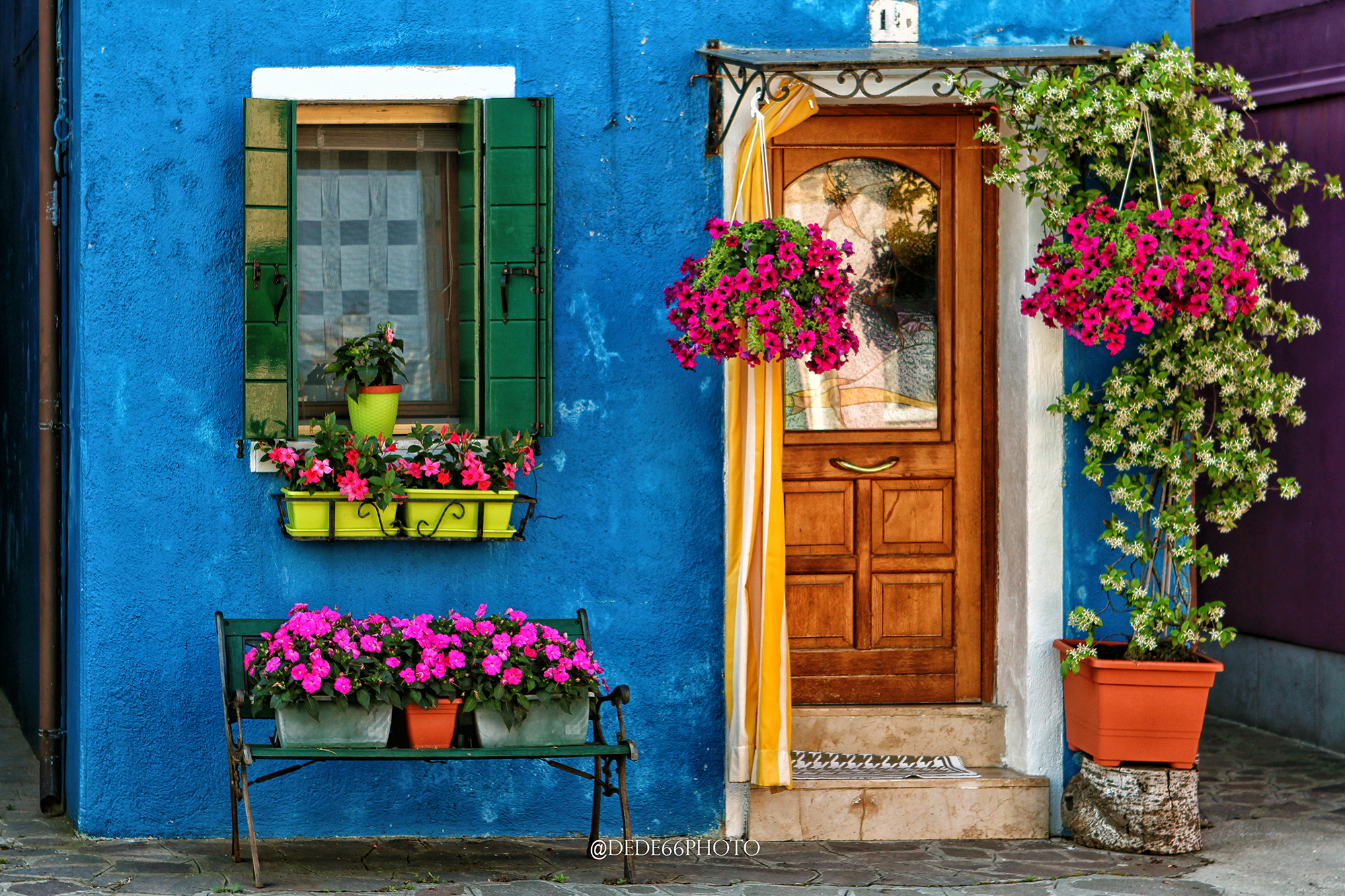 Burano in fiore