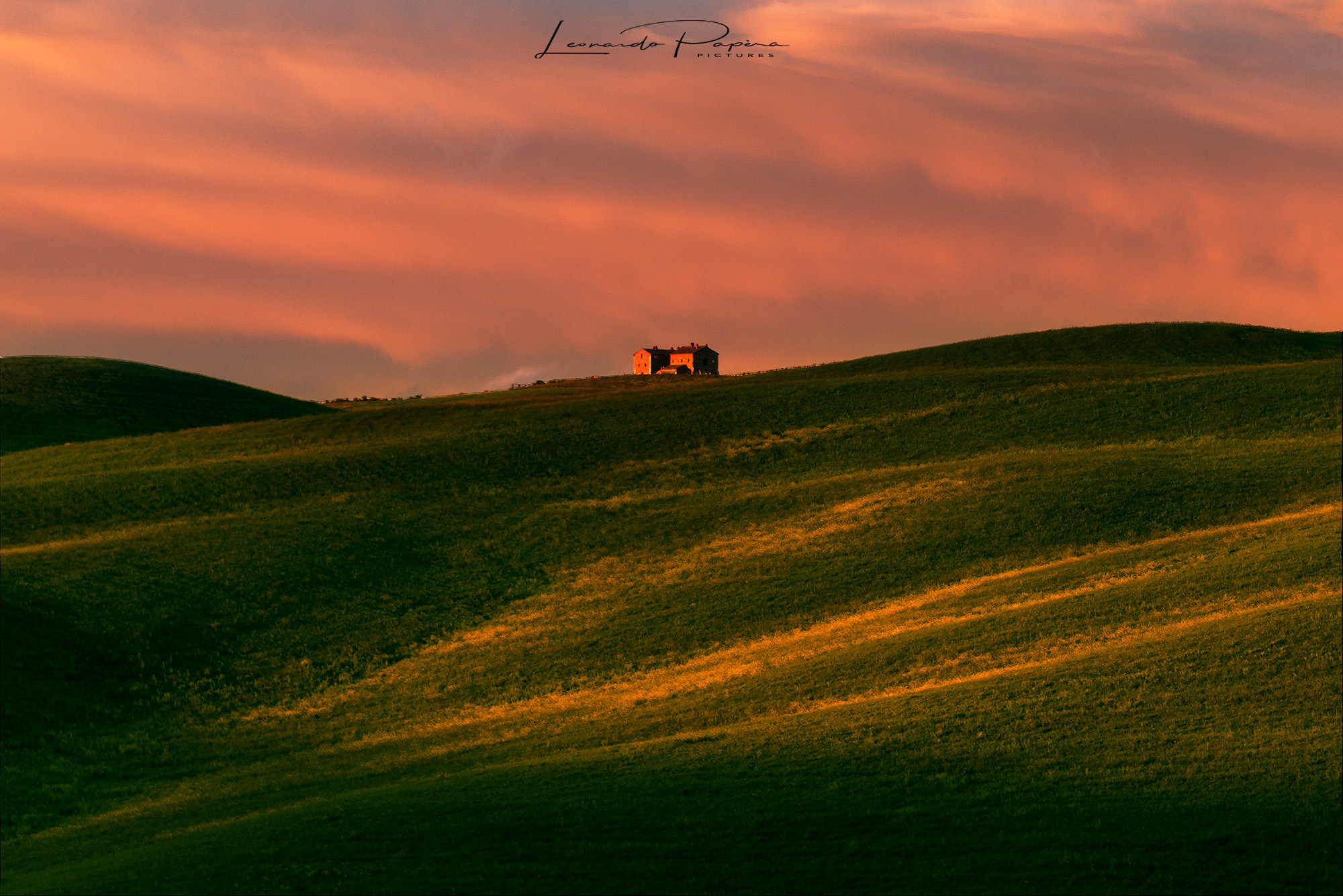 The Guardian of the Hill