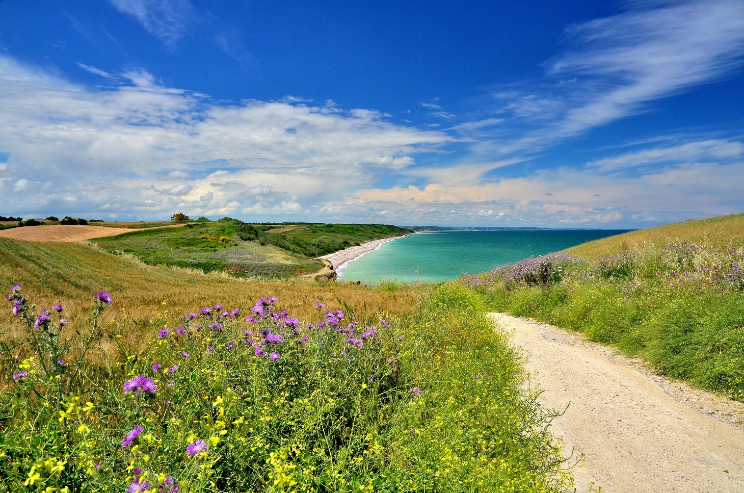 Riserva di Punta Aderci