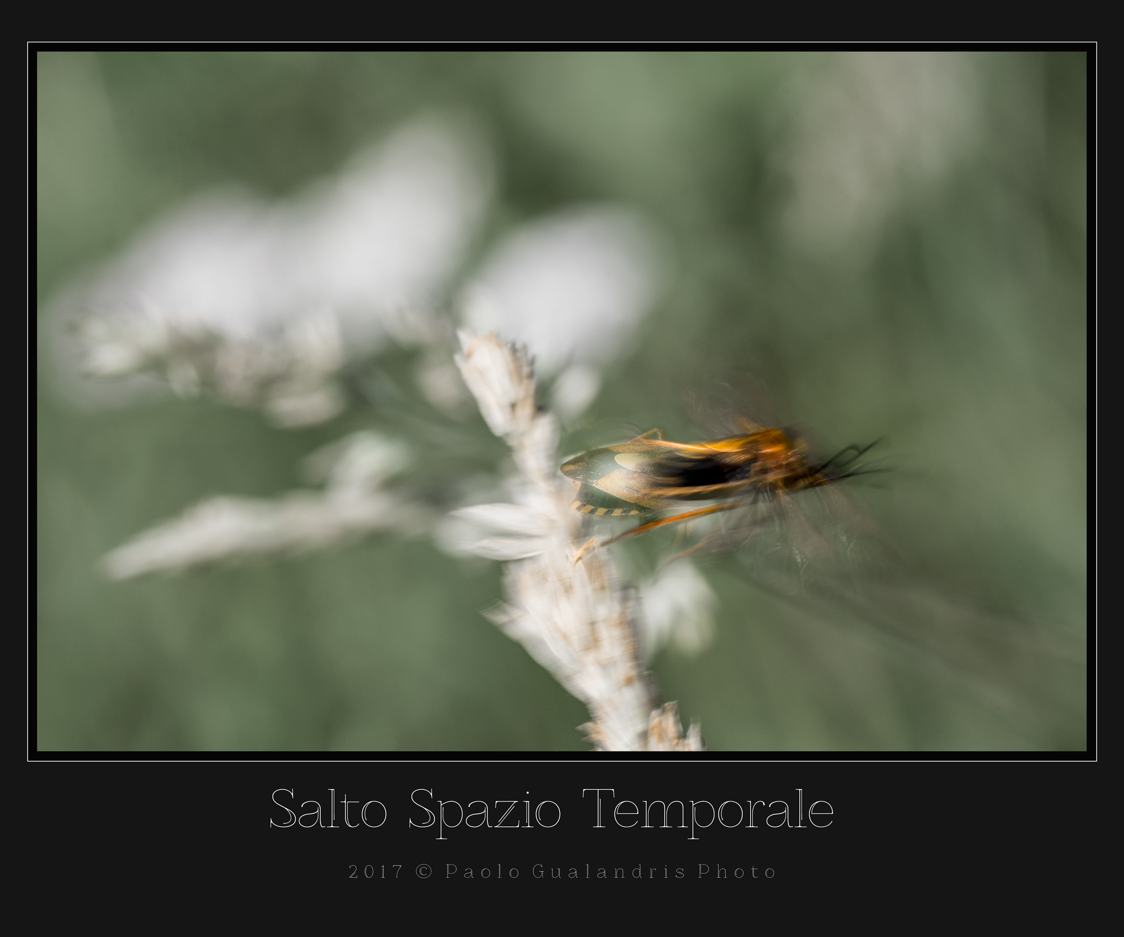 Salto Spazio Temporale