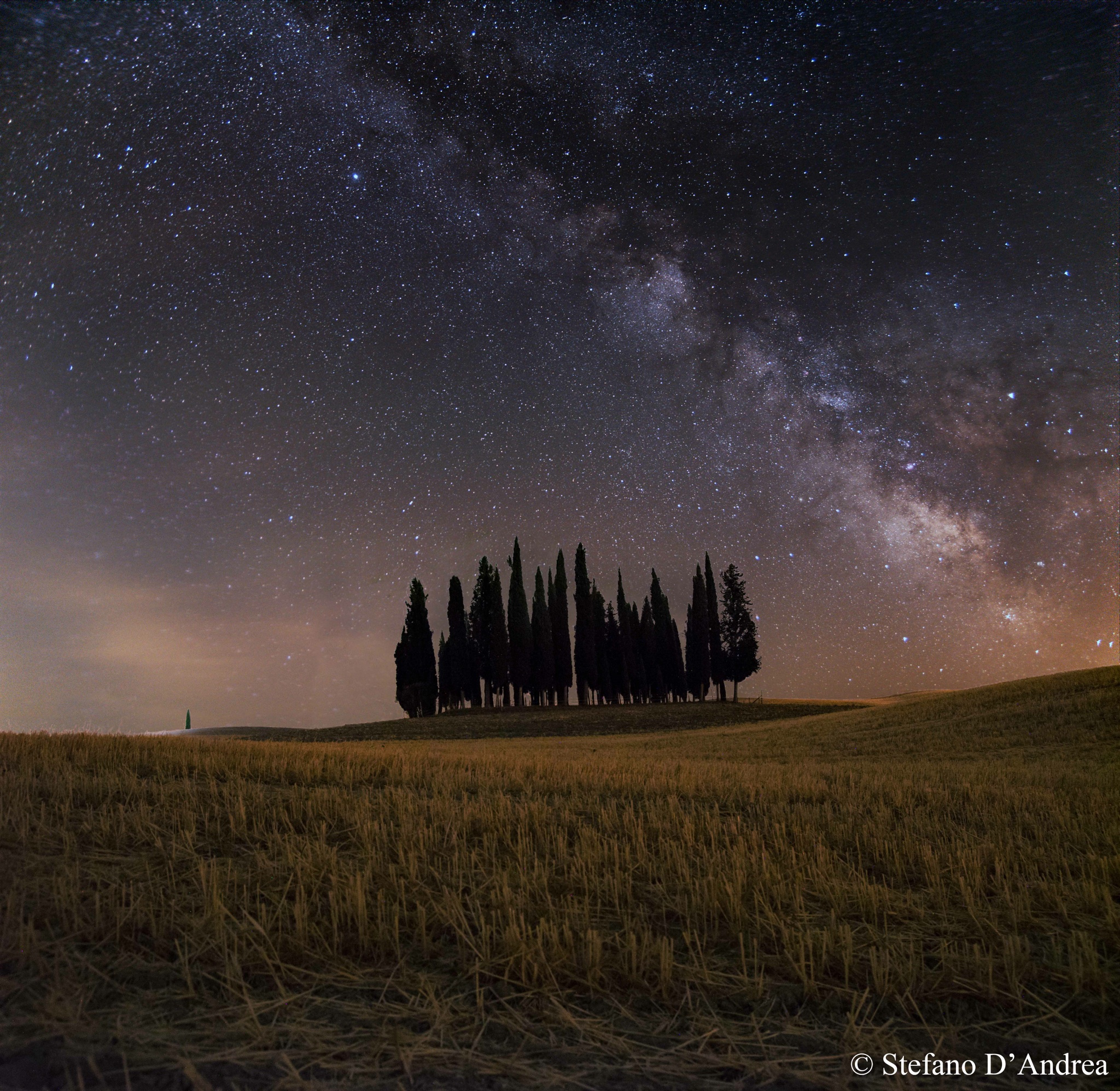 The Cioressi of San Quirico d'Orcia