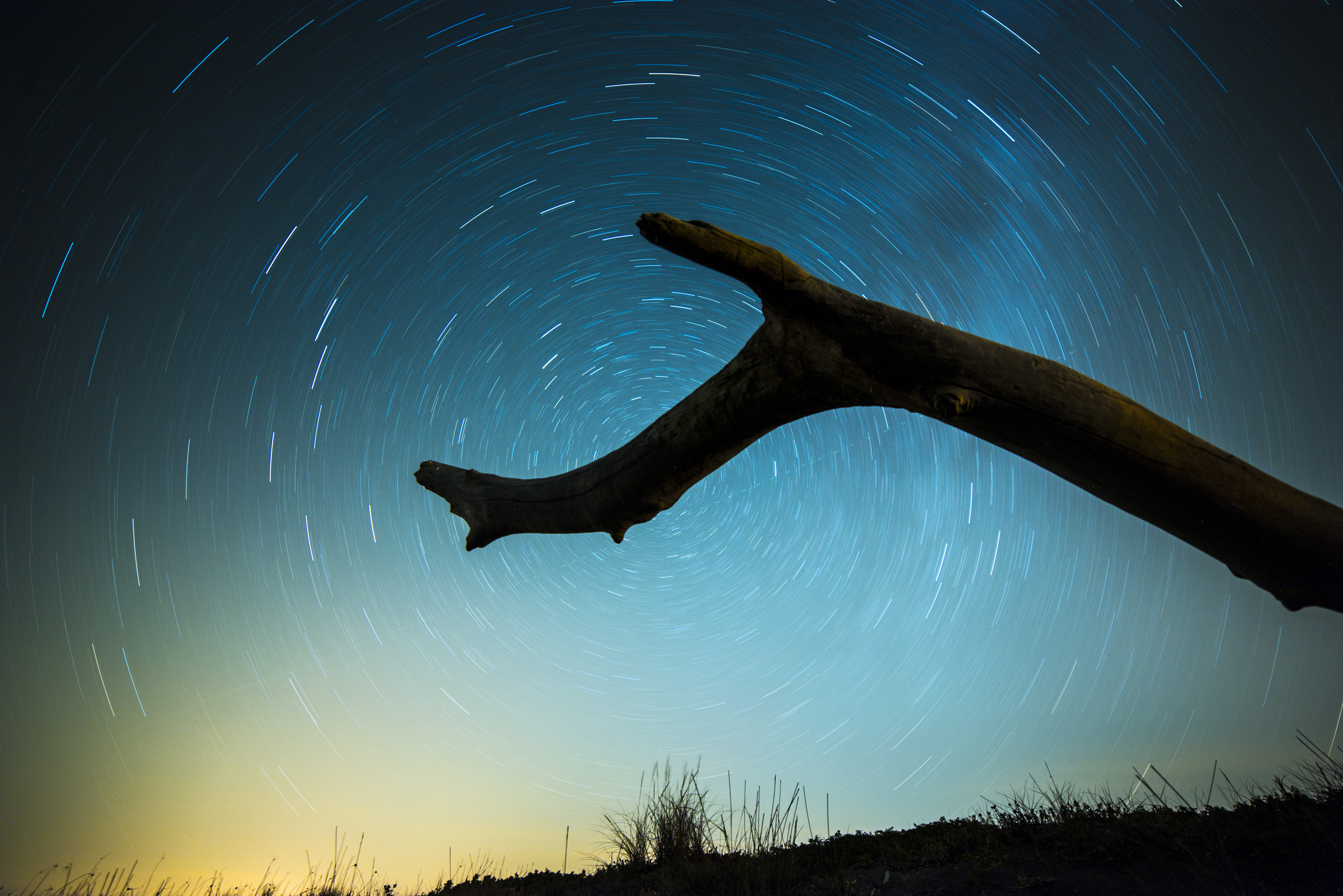 e.t. ...Telefono casa ...!!!