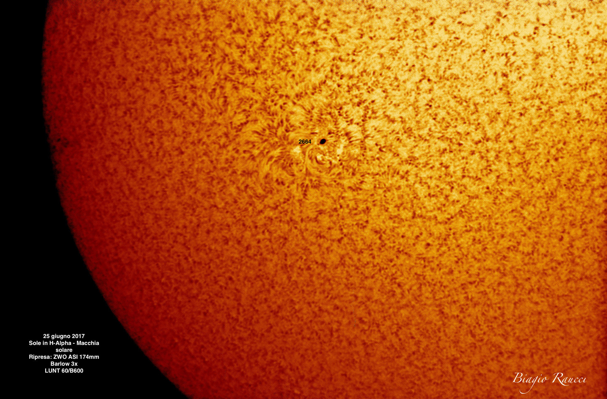 Detail of stain 2664 of June 25, 2017