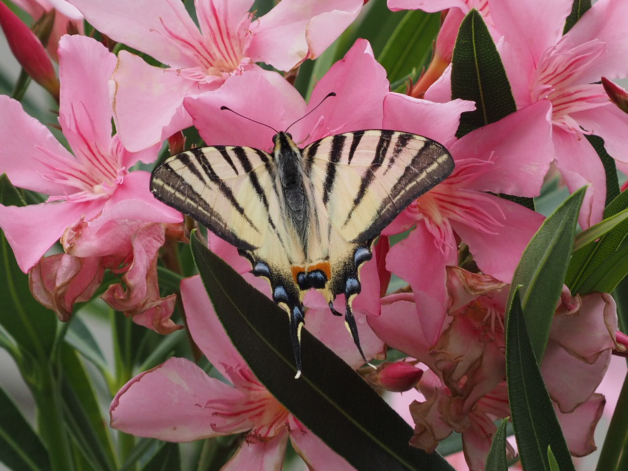 A moment of relaxation