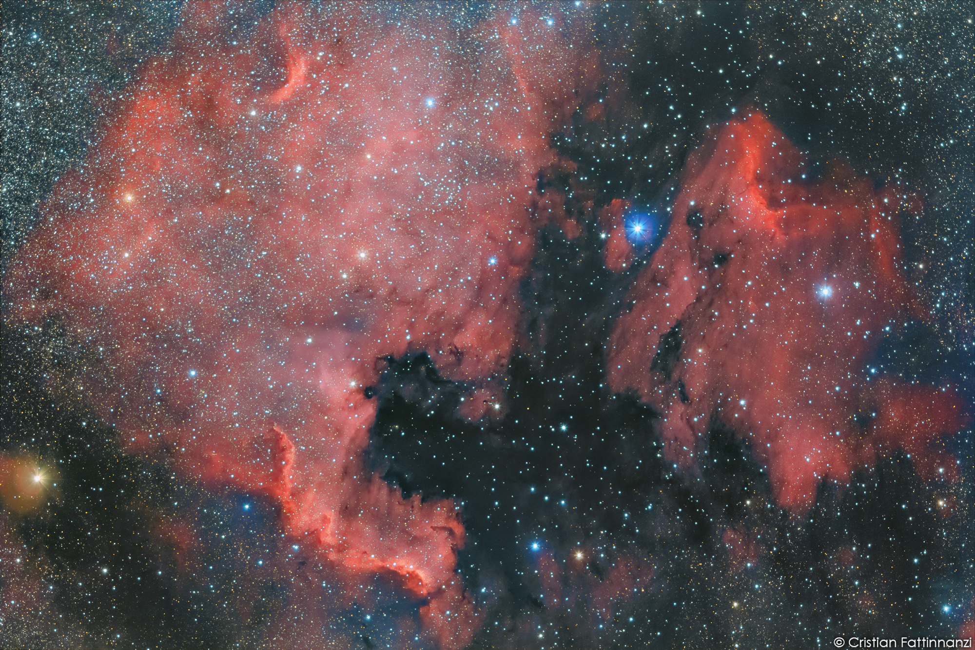 NGC 7000 by Col Raiser