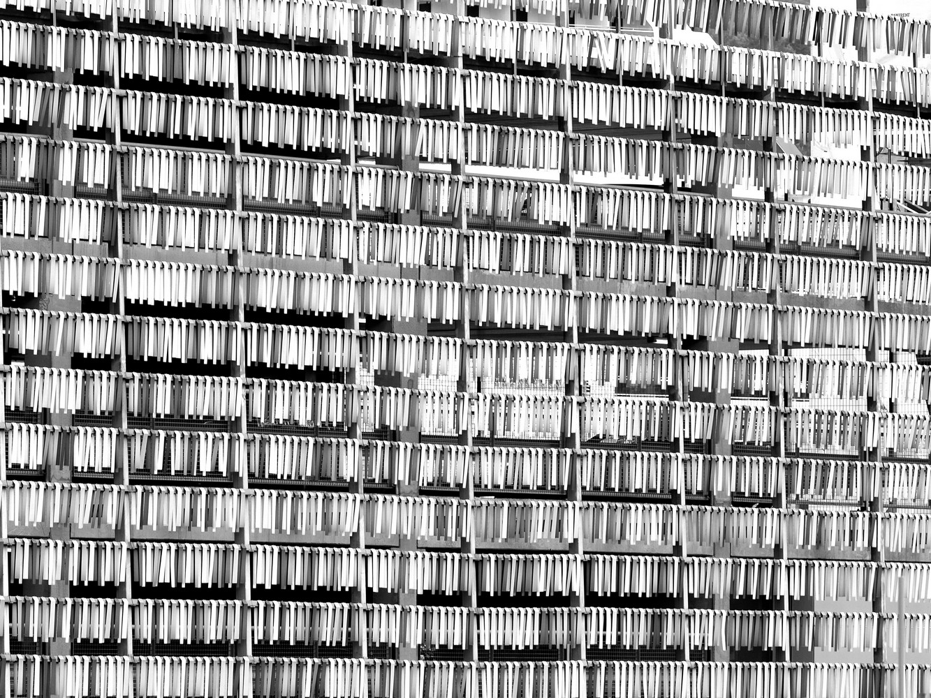 Plots of a parking lot