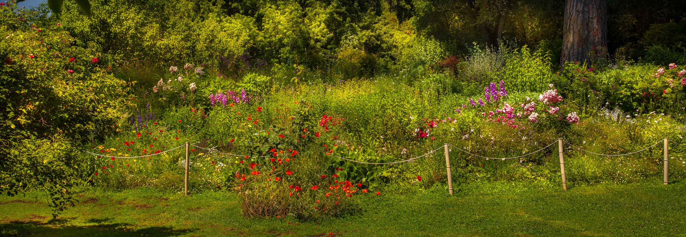 ... a sea of ??green