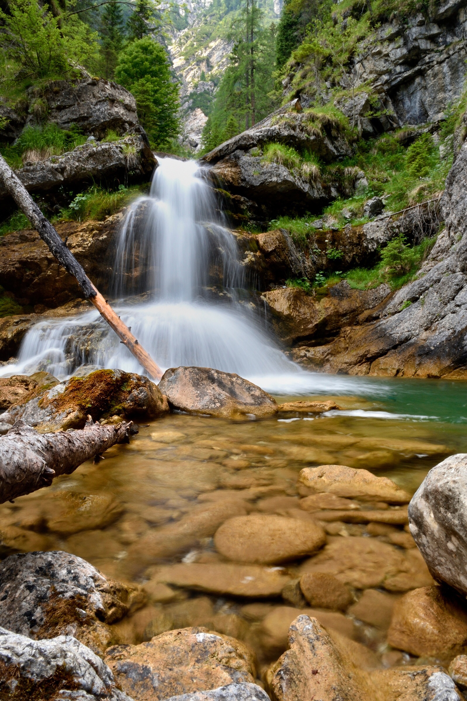 The Piave in Val Sesis