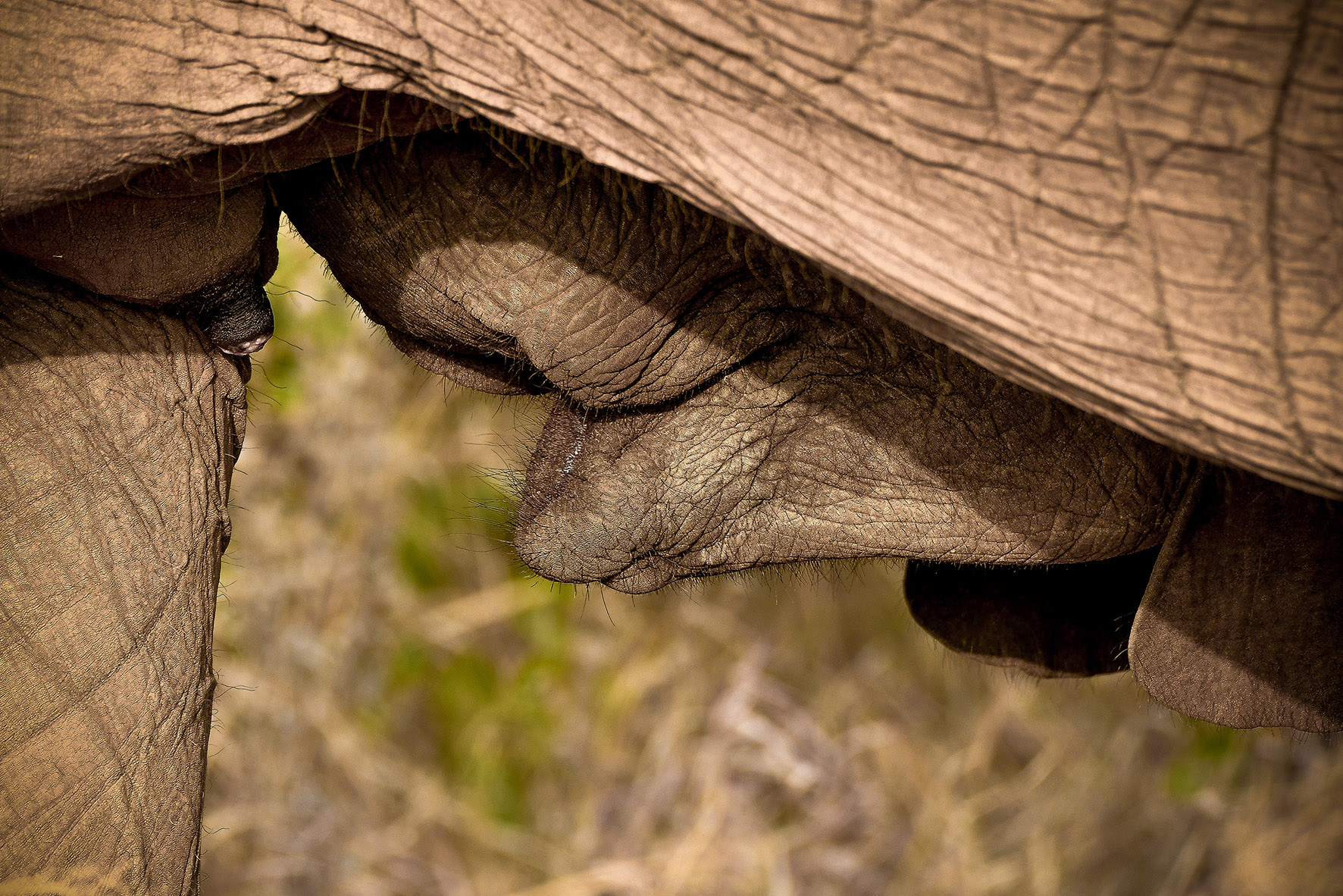 Colazione da campioni!!!!!