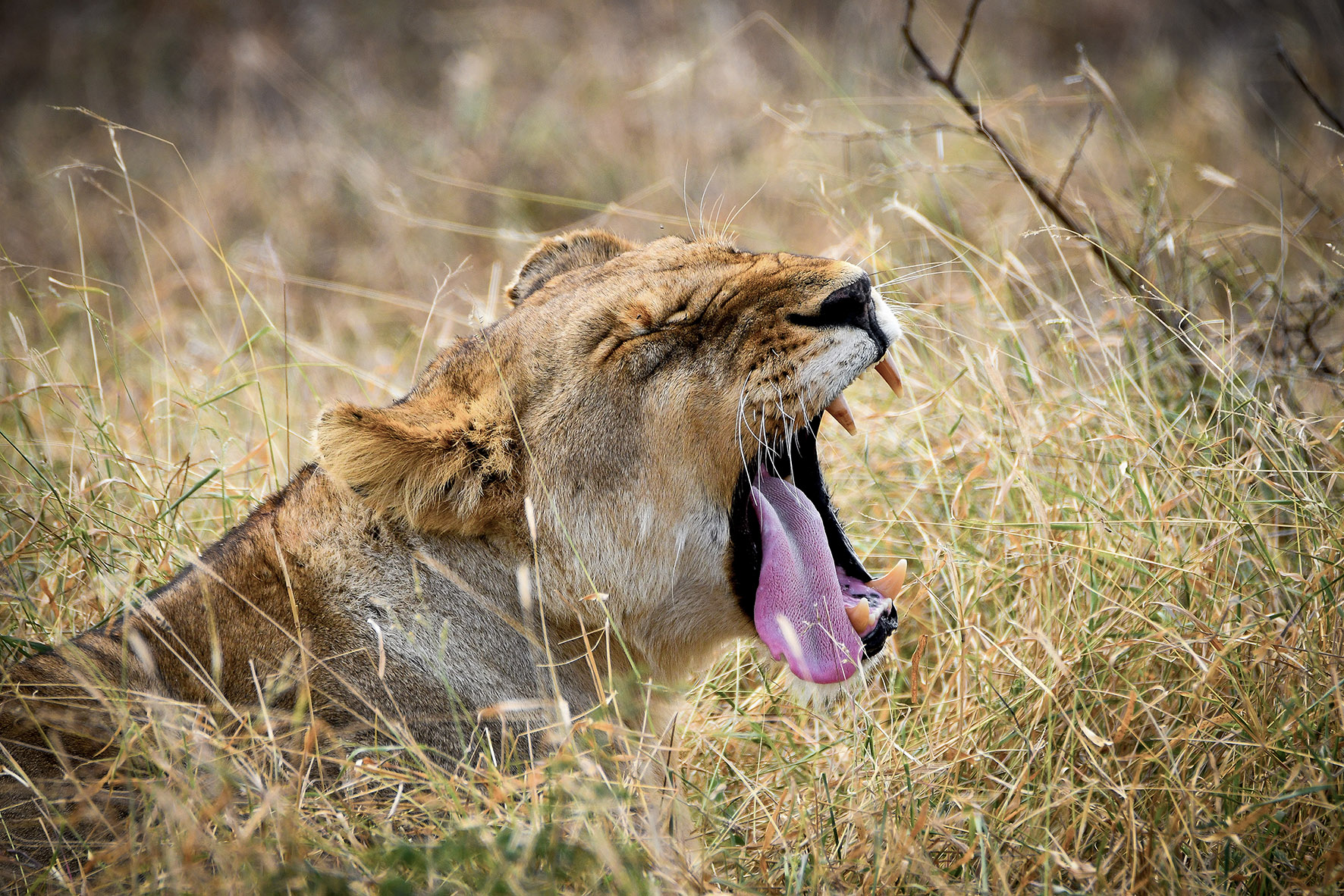 Che giornata stressante!!!