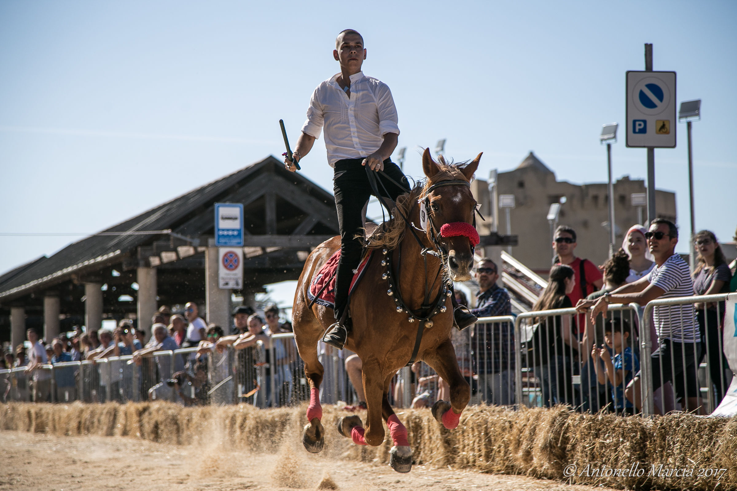 Il cavaliere volante