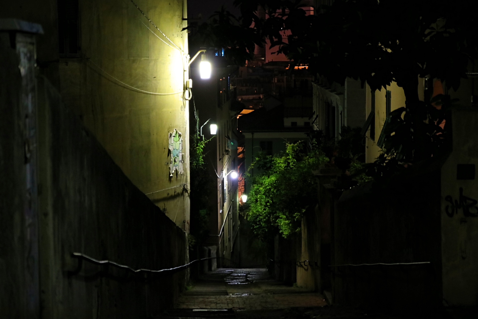 Genova alley