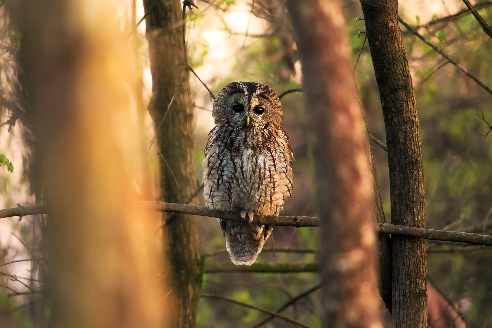 In the middle of the bush ..