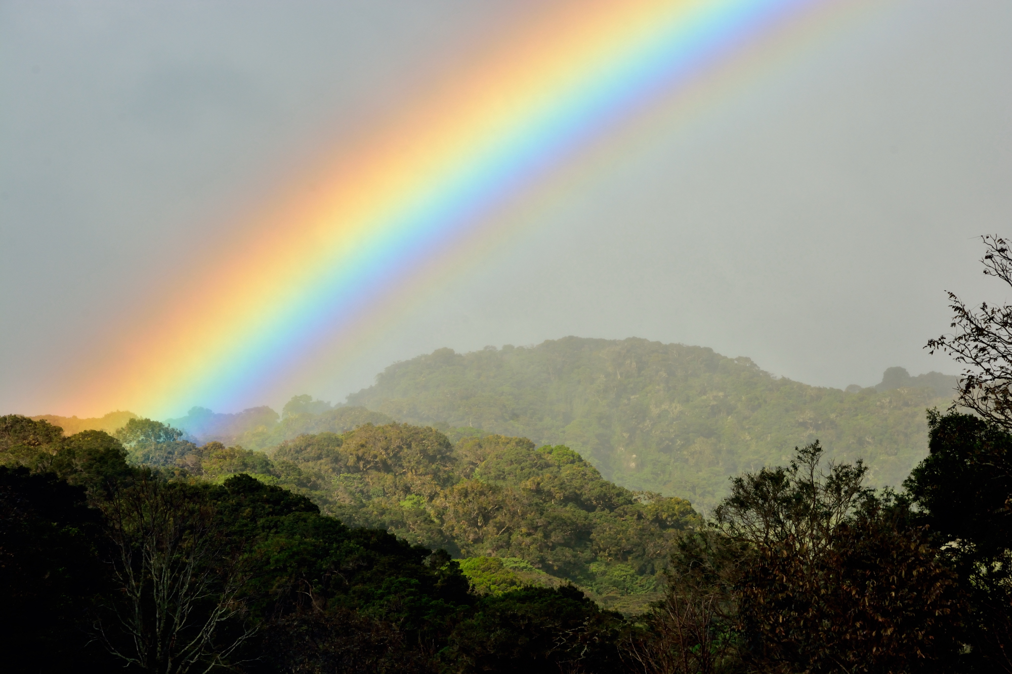 Rainbow at Boquete