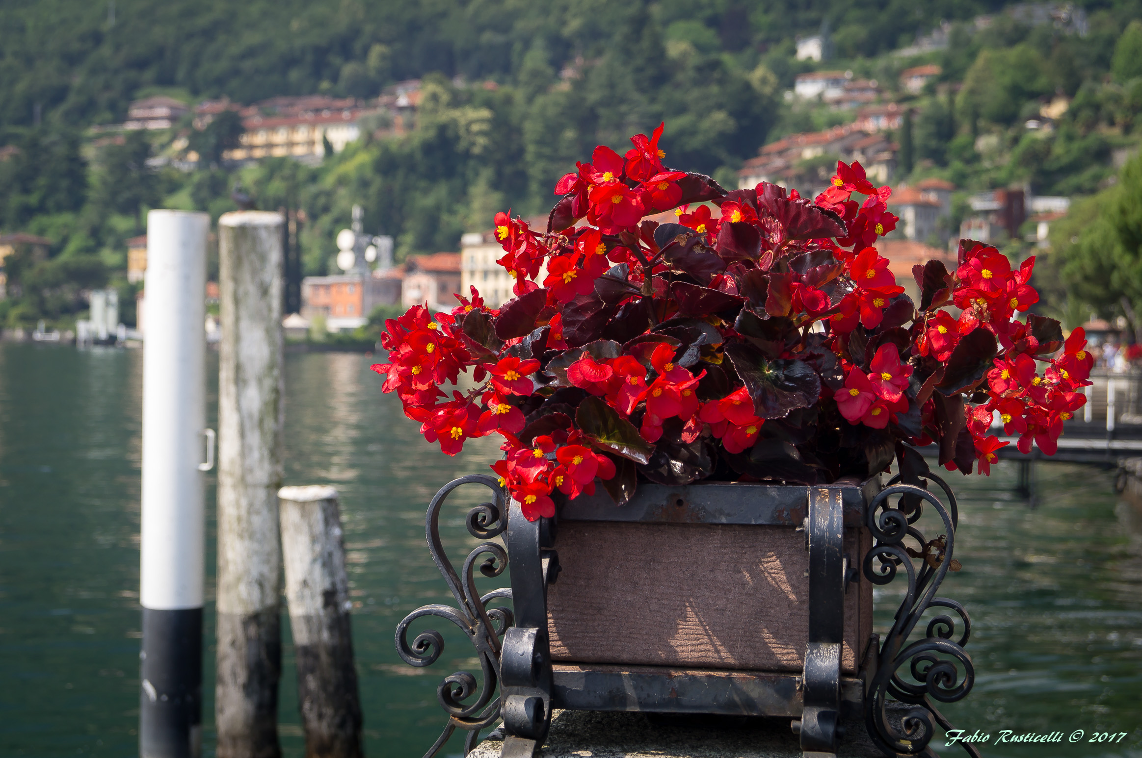 Postcard from Menaggio