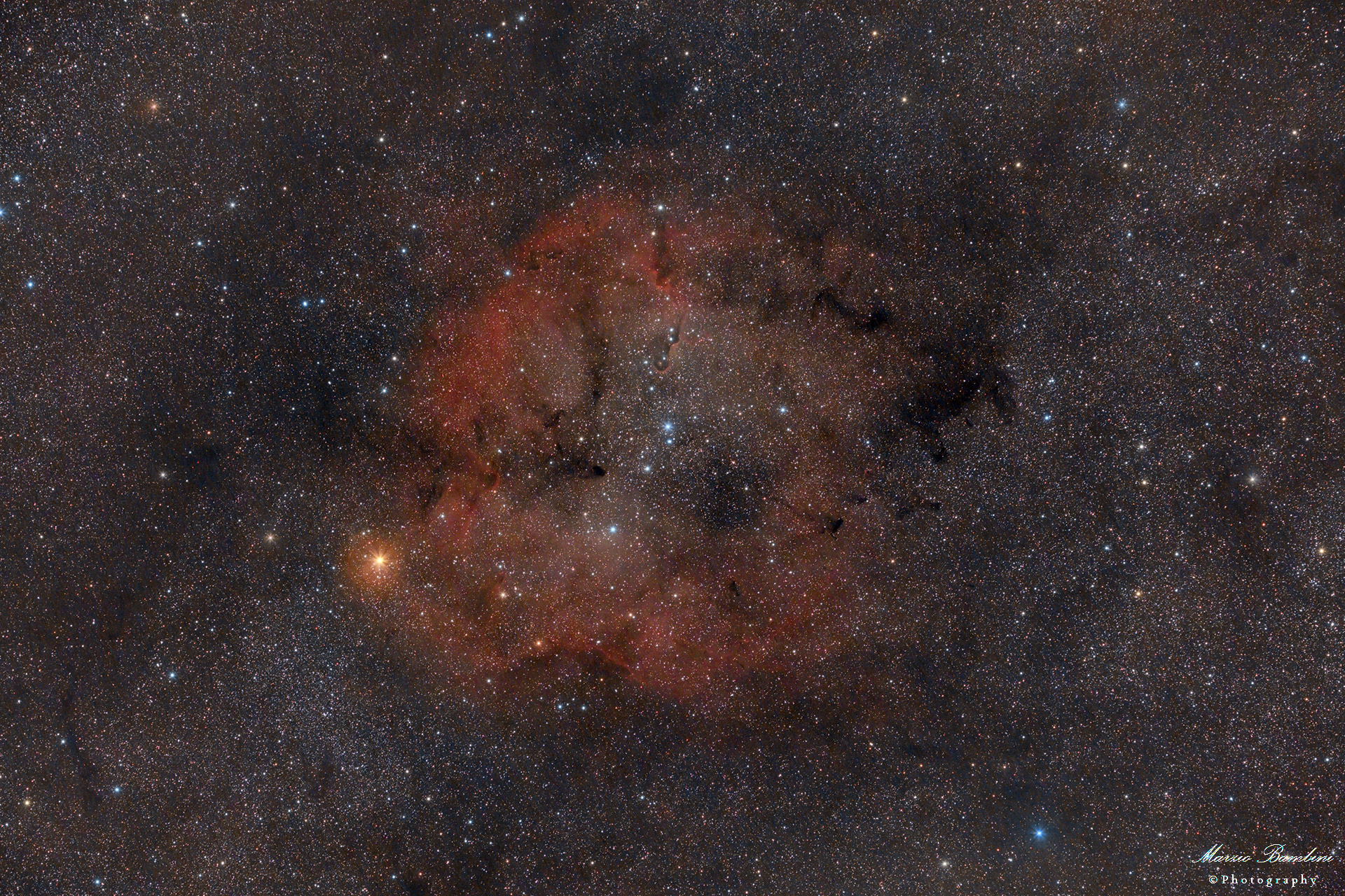 Ic1396 Elephant's Trunk Nebula