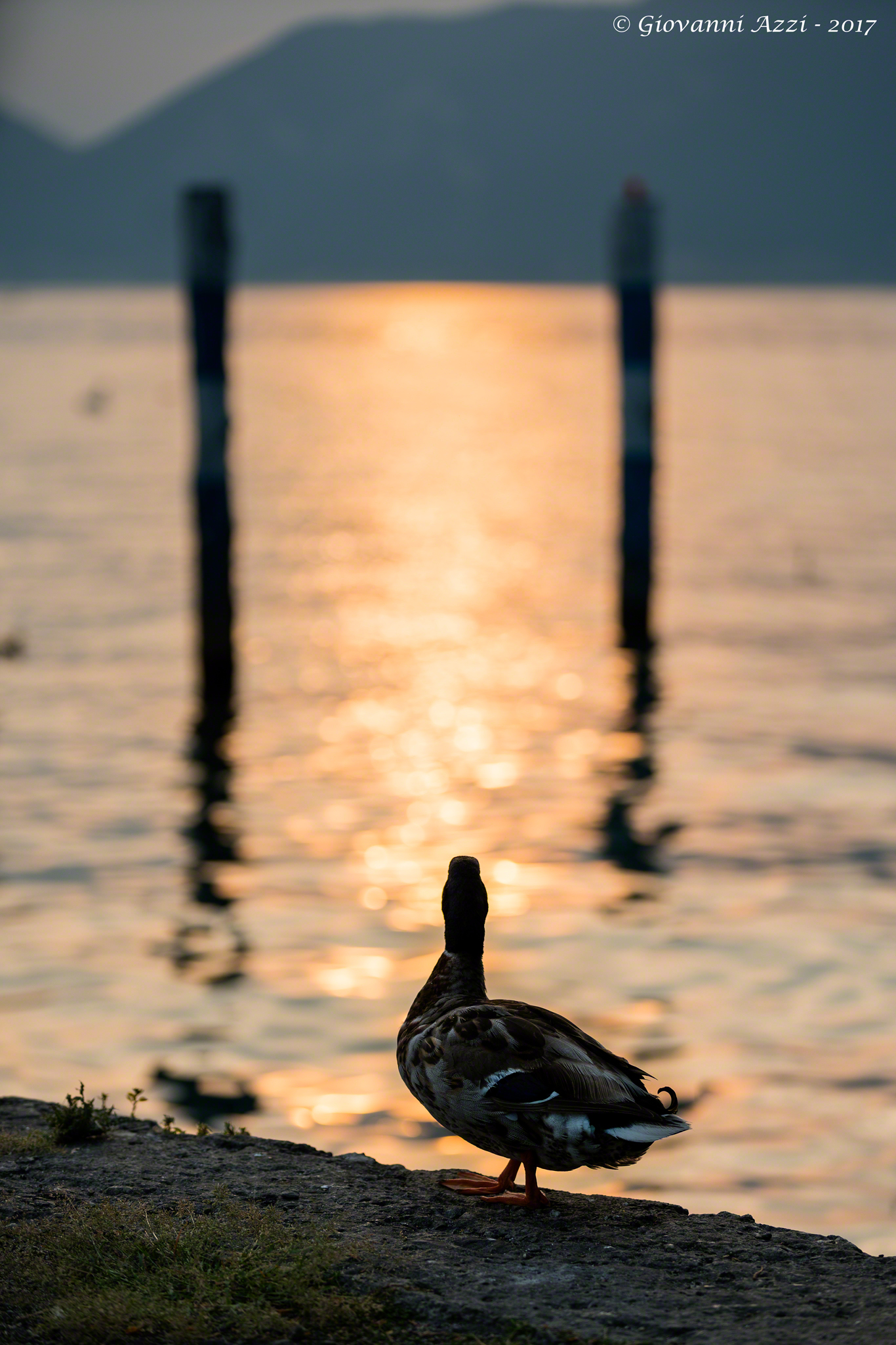 Ammirando il tramonto