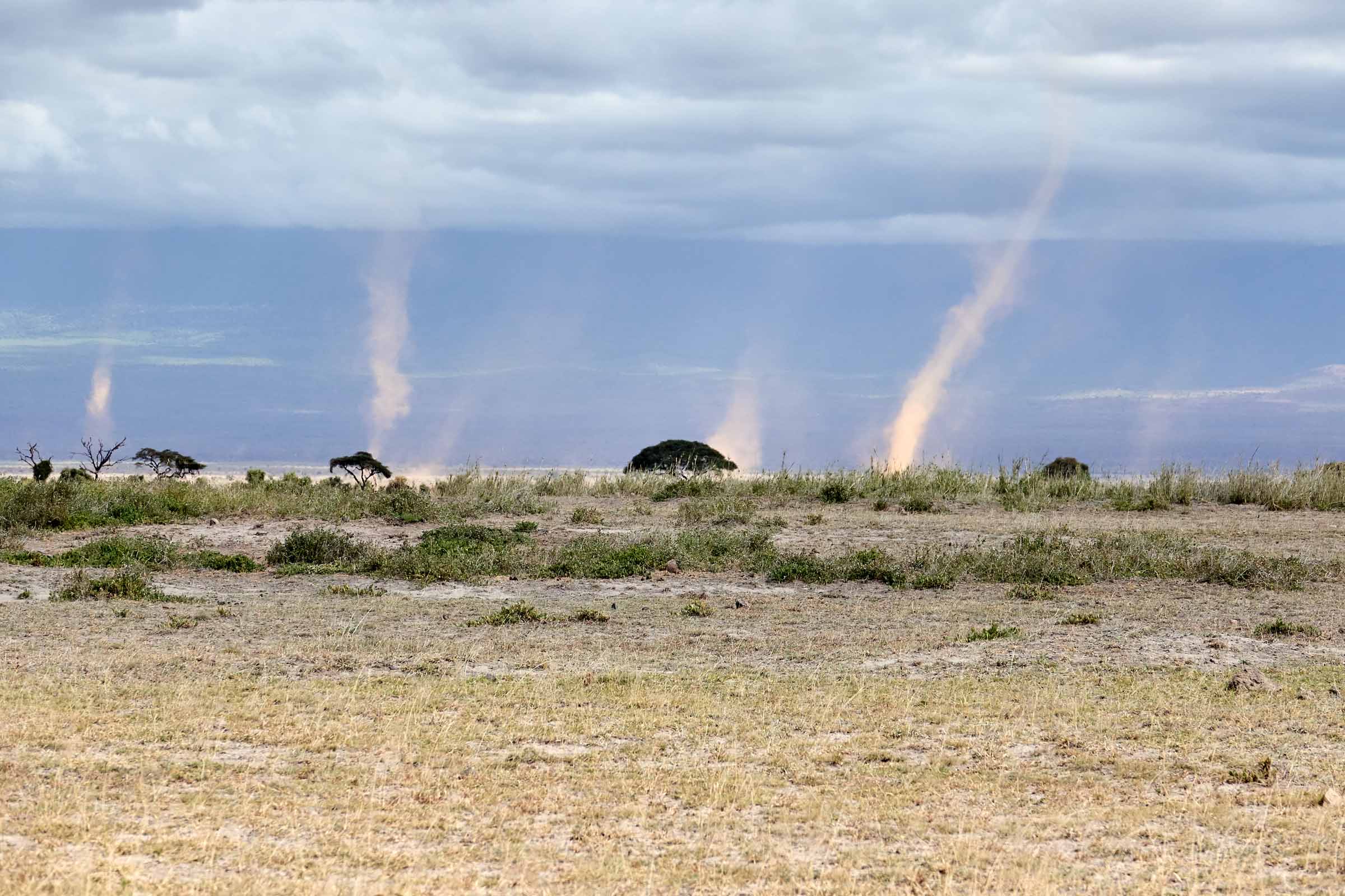 Amboseli - June 2017