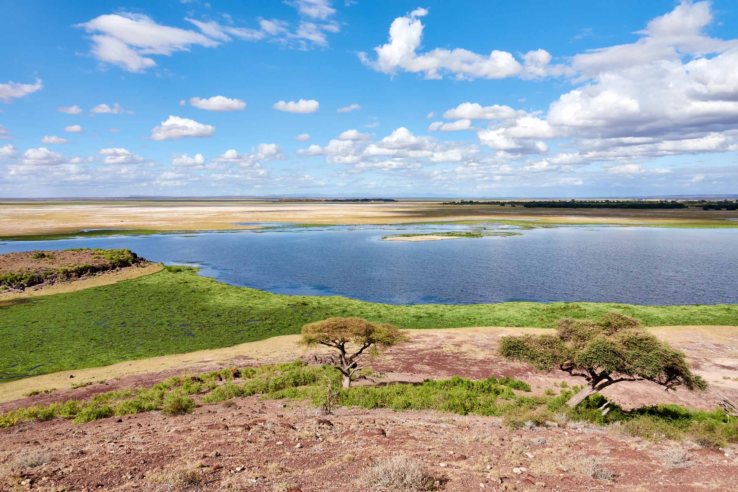 Amboseli - June 2017