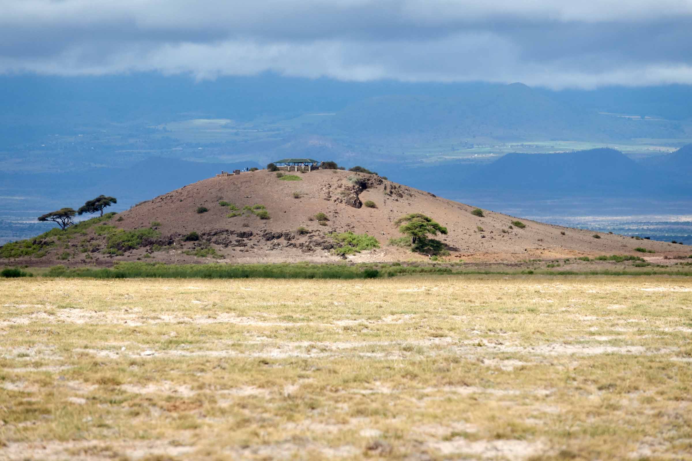 Amboseli - June 2017