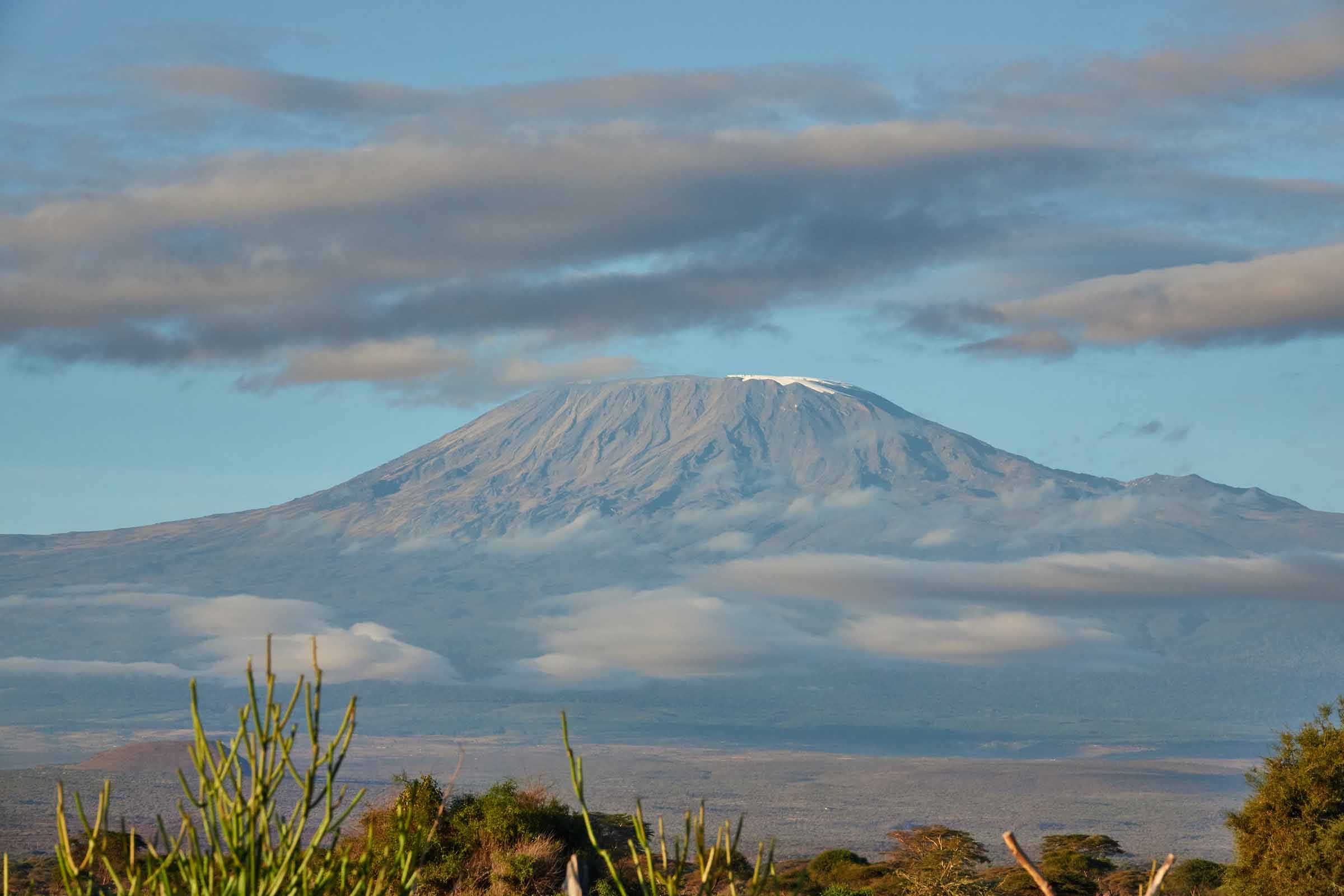 Kilimanjaro mount (Amboseli - Kenya)