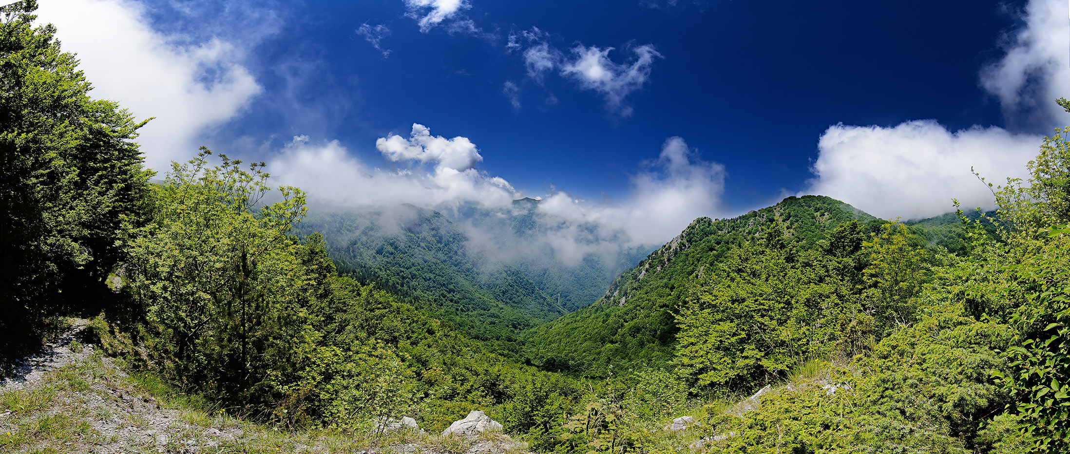 Panorama at Bell Tower, Novacco - Pollino