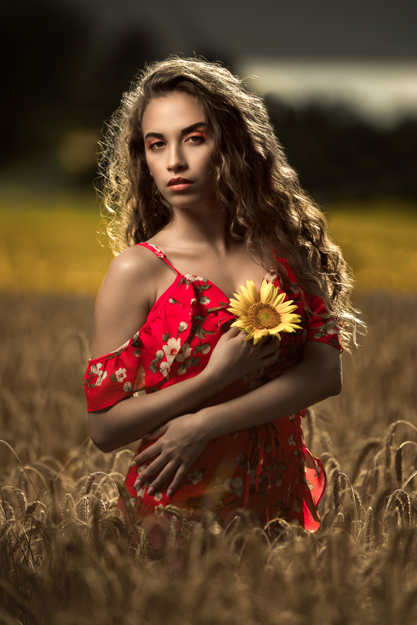 Like a sunflower Pt 1