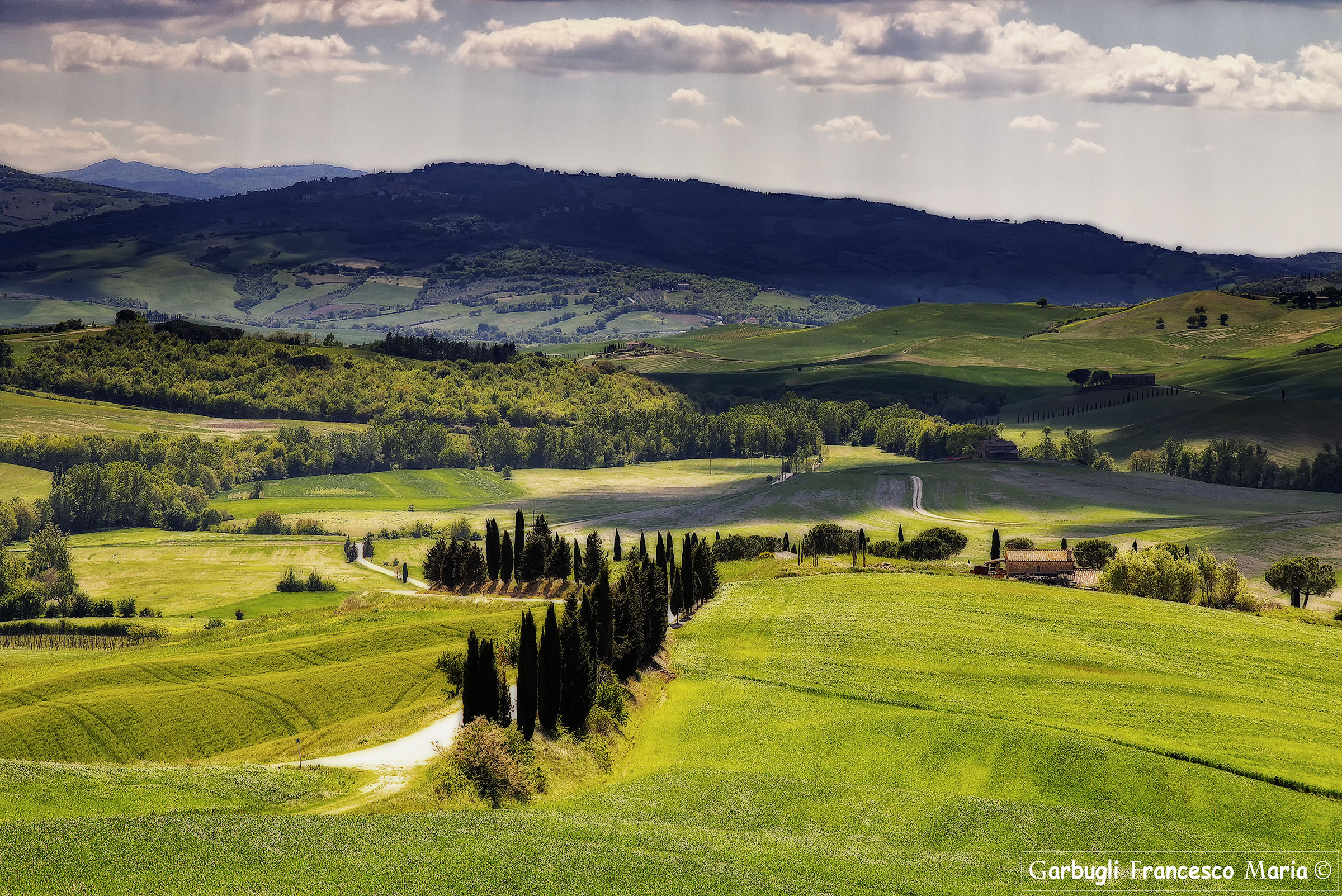 Campi fioriti in val d'Orcia