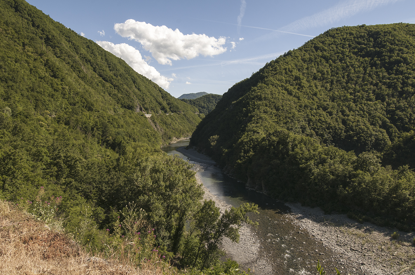 Trebbia river glimpse