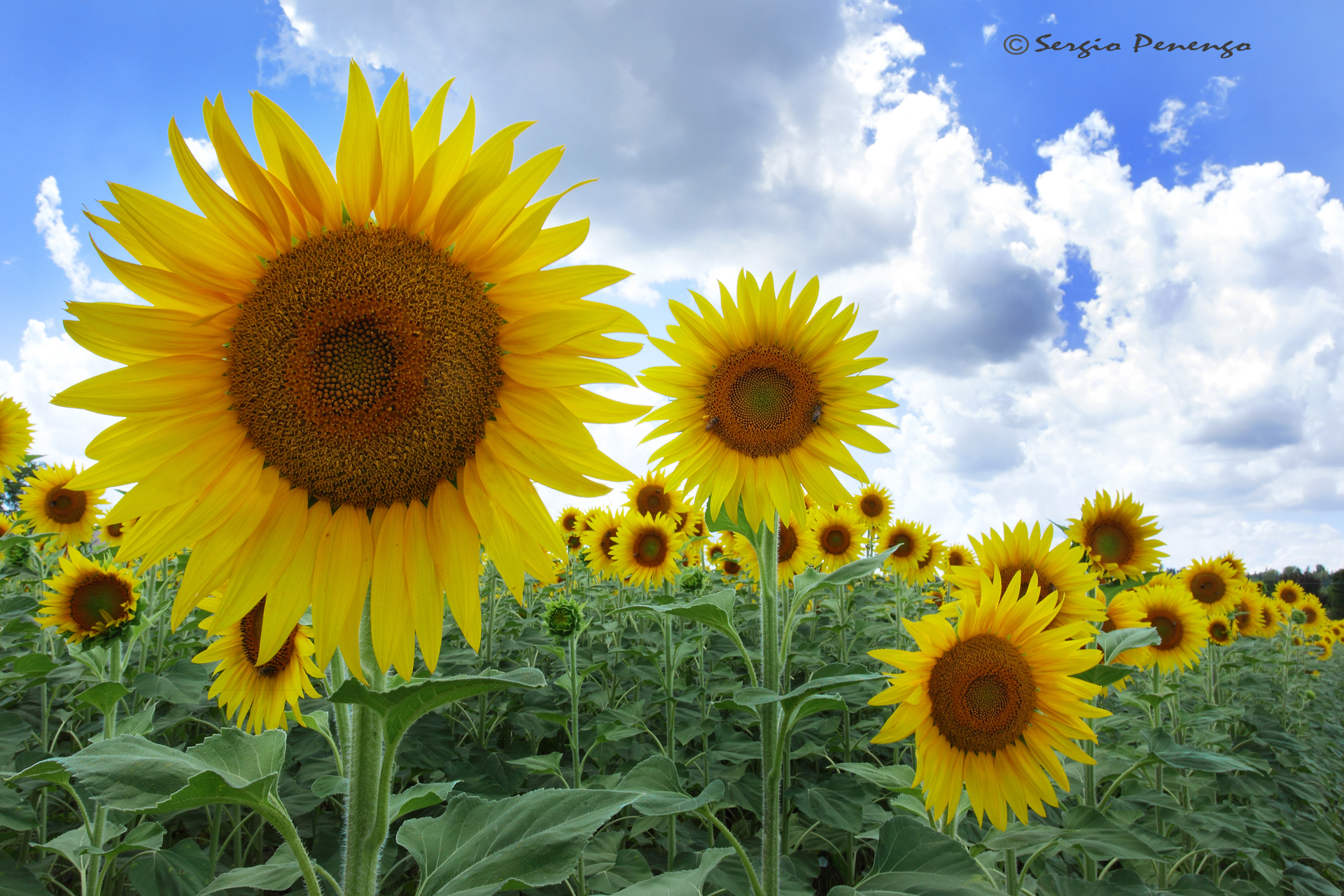 "Look me in the face"