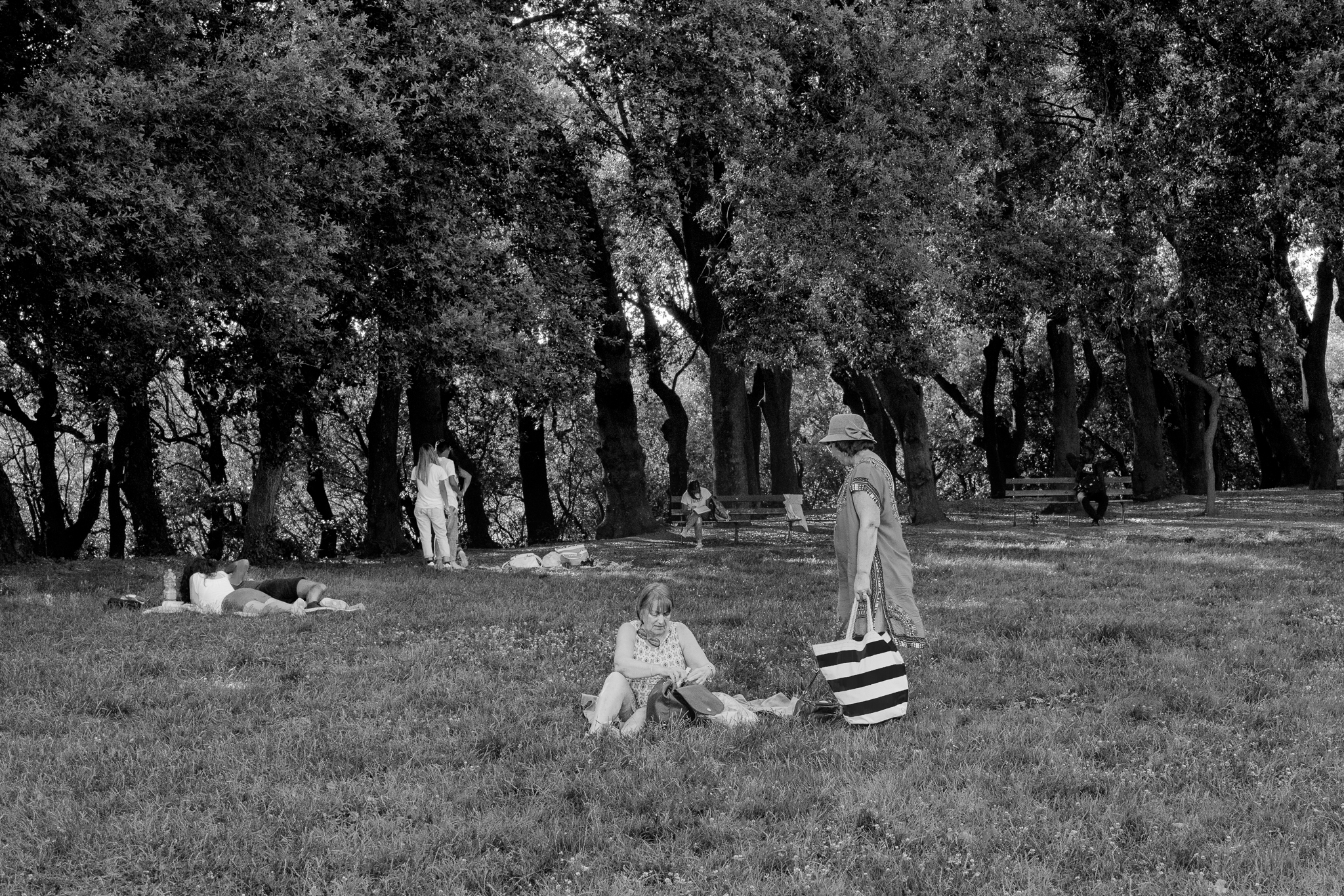 Real Bosco di Capodimonte