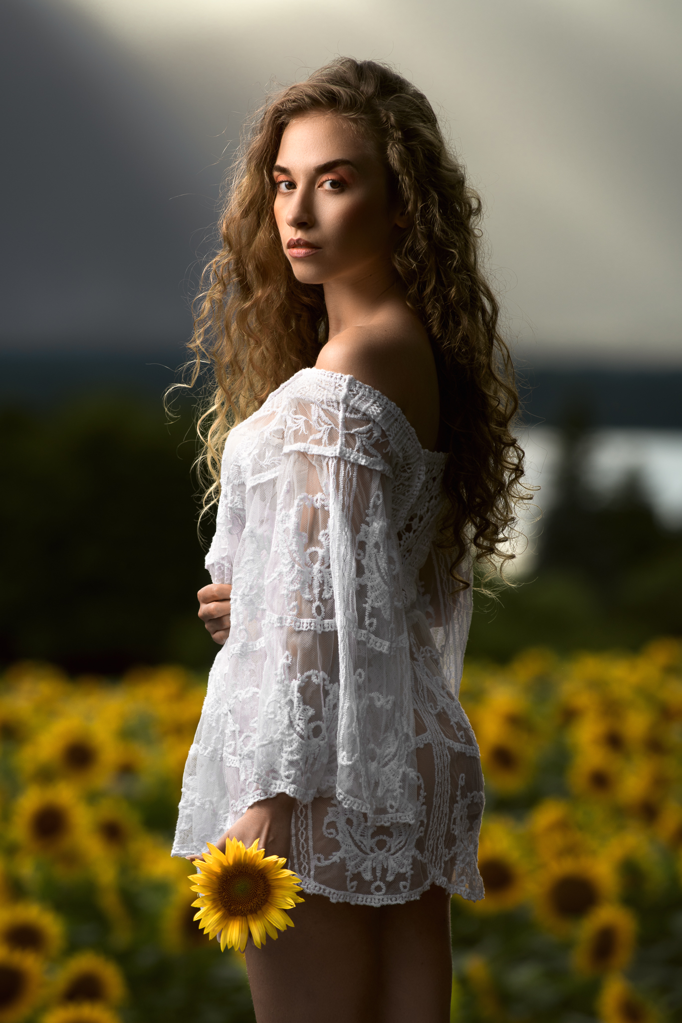 Like a sunflower pt2